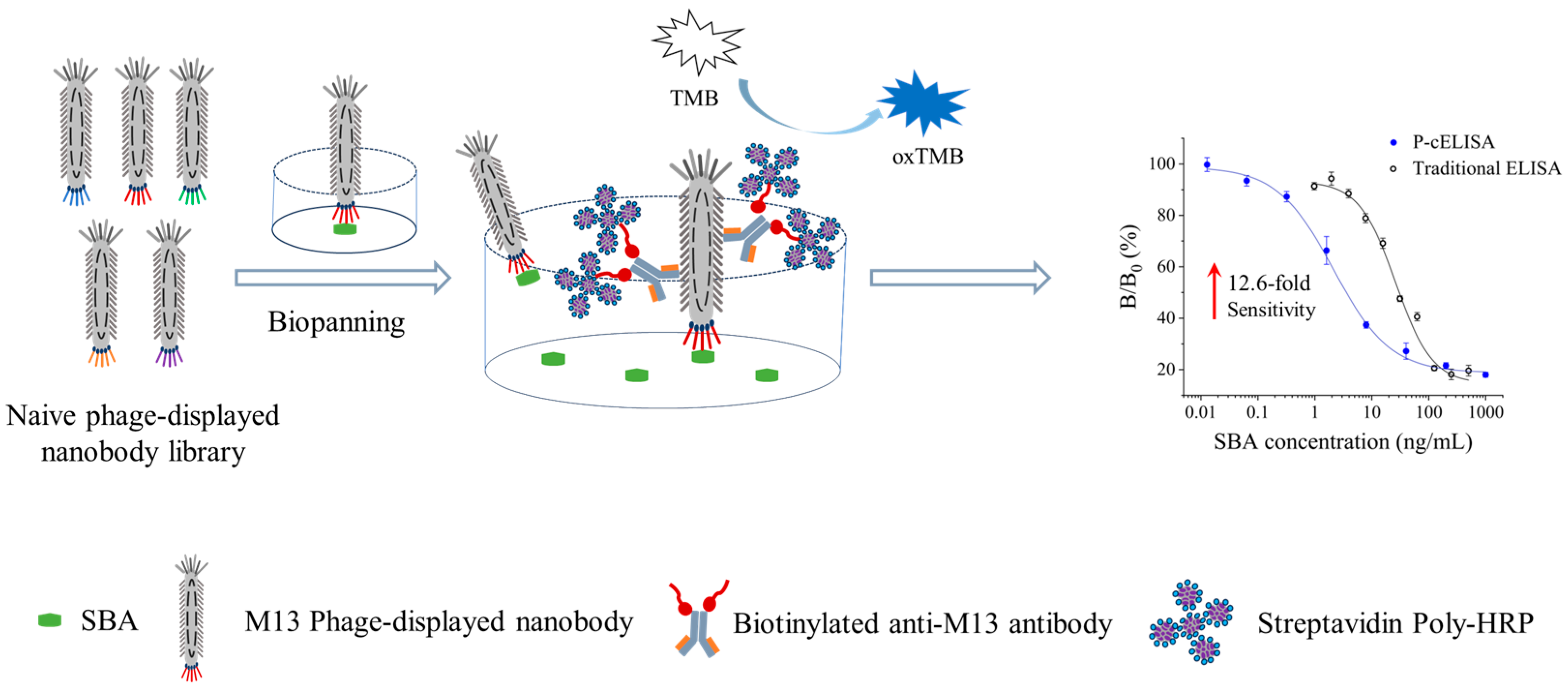 Foods 13 01893 g001 Foods 13 01893 g001