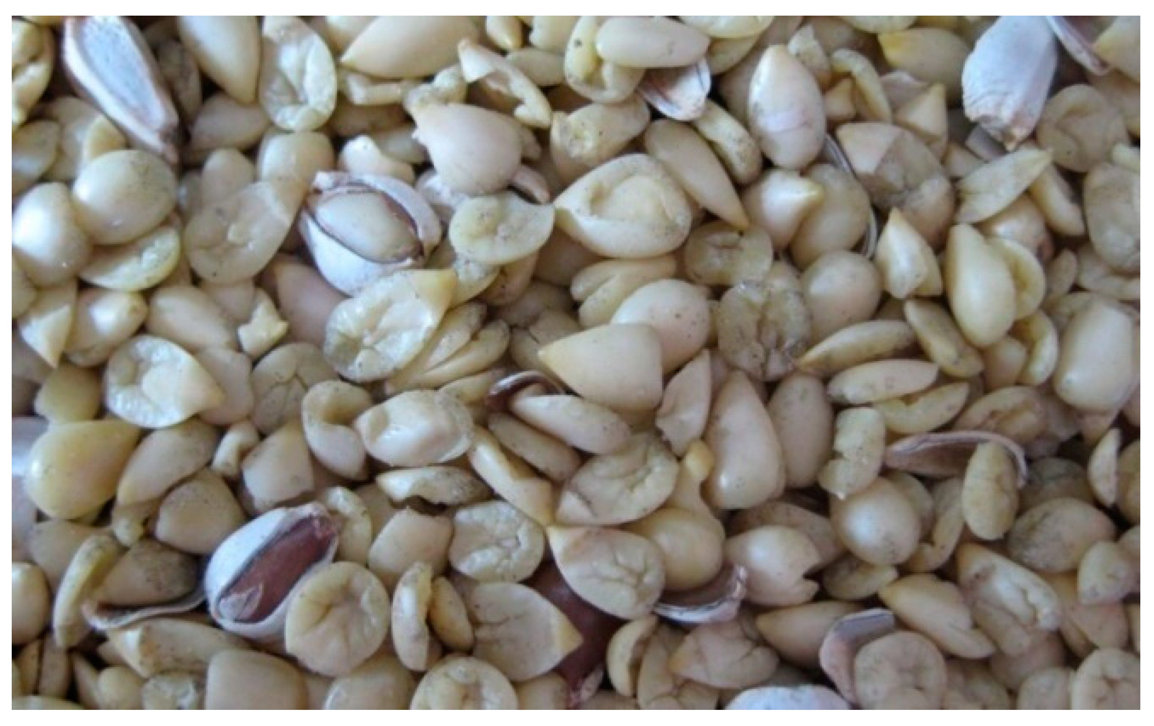 Foods 13 01909 g001 Foods 13 01909 g001