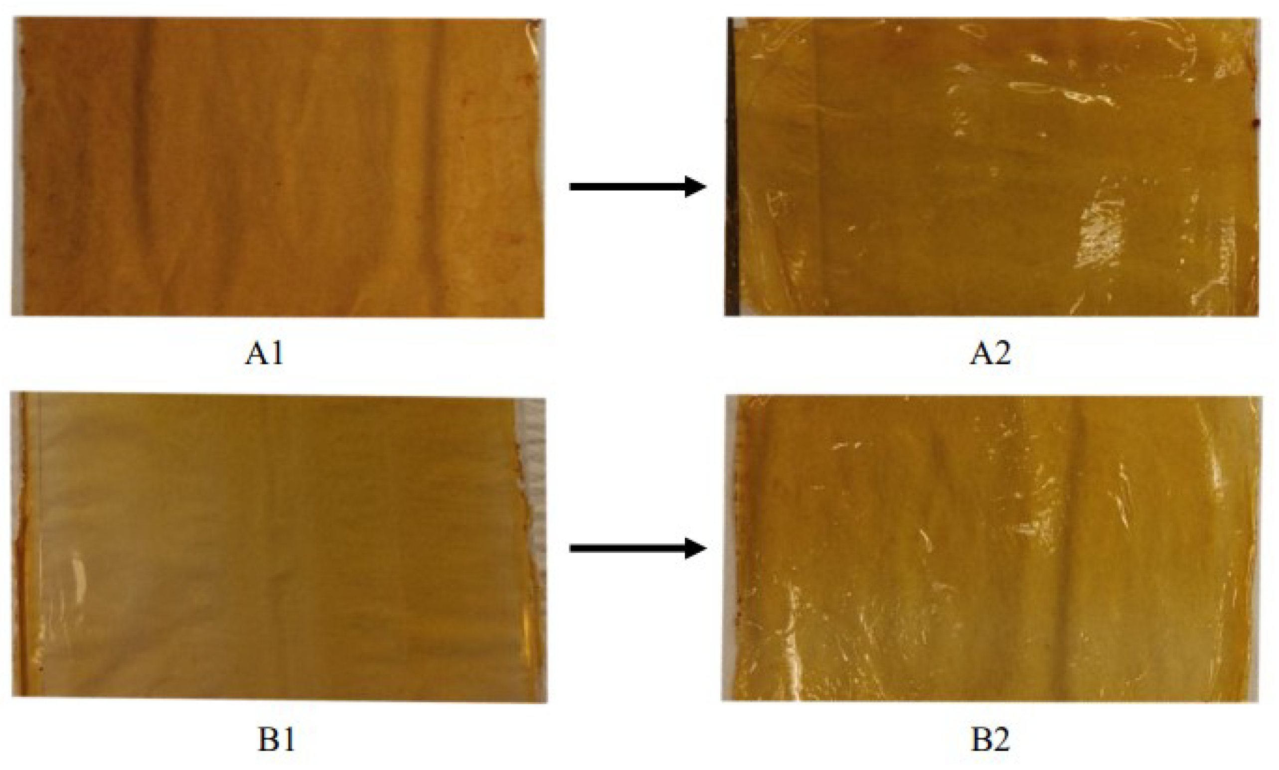 Foods 13 01914 g001 Foods 13 01914 g001