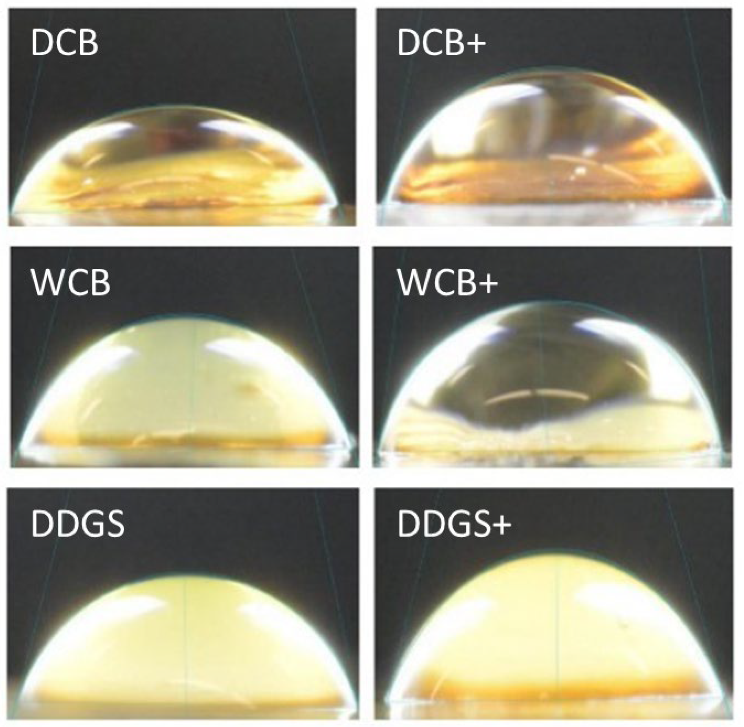 Foods 13 01914 g003 Foods 13 01914 g003