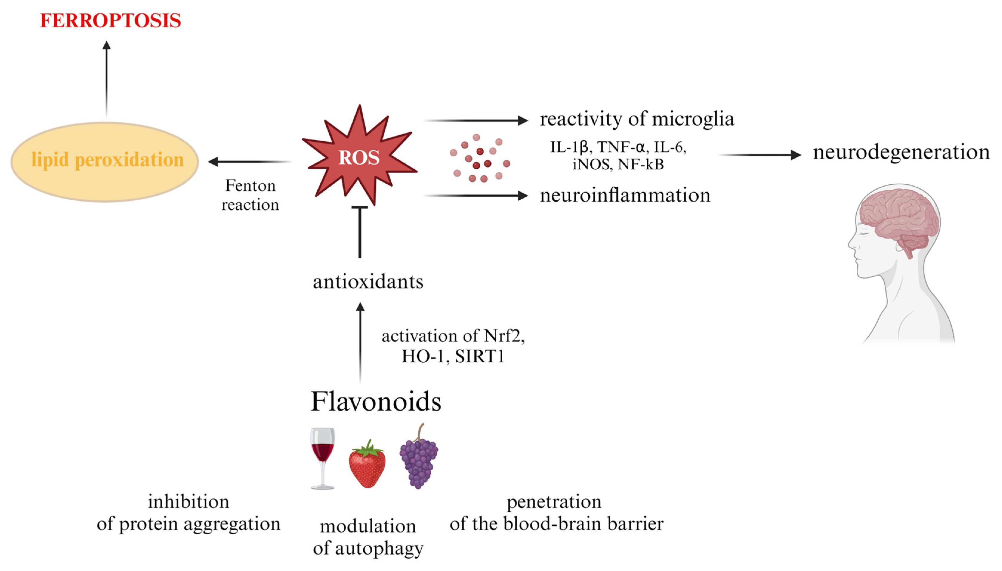 Foods 13 01931 g003 Foods 13 01931 g003