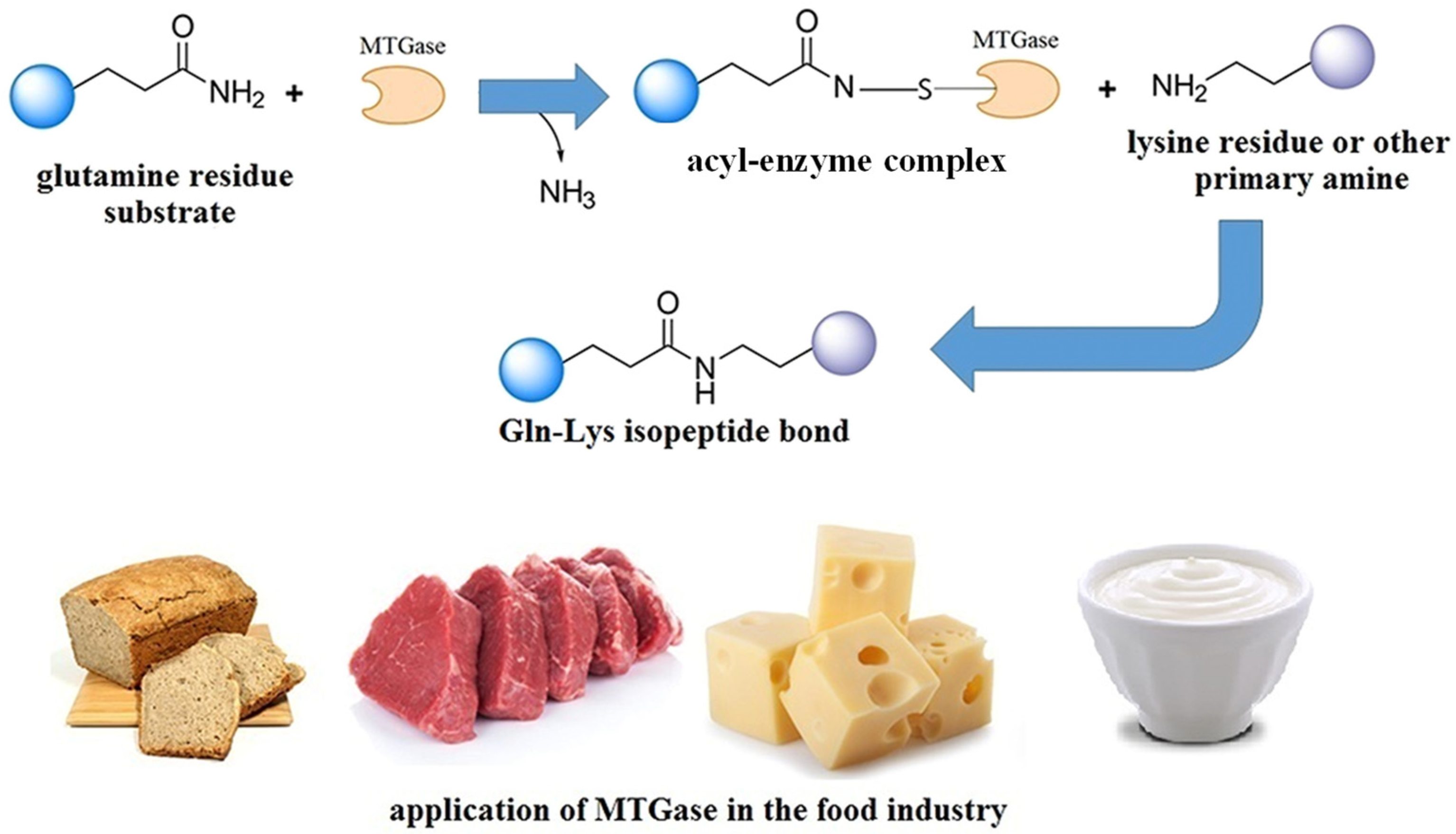Foods 13 01950 g006 Foods 13 01950 g006