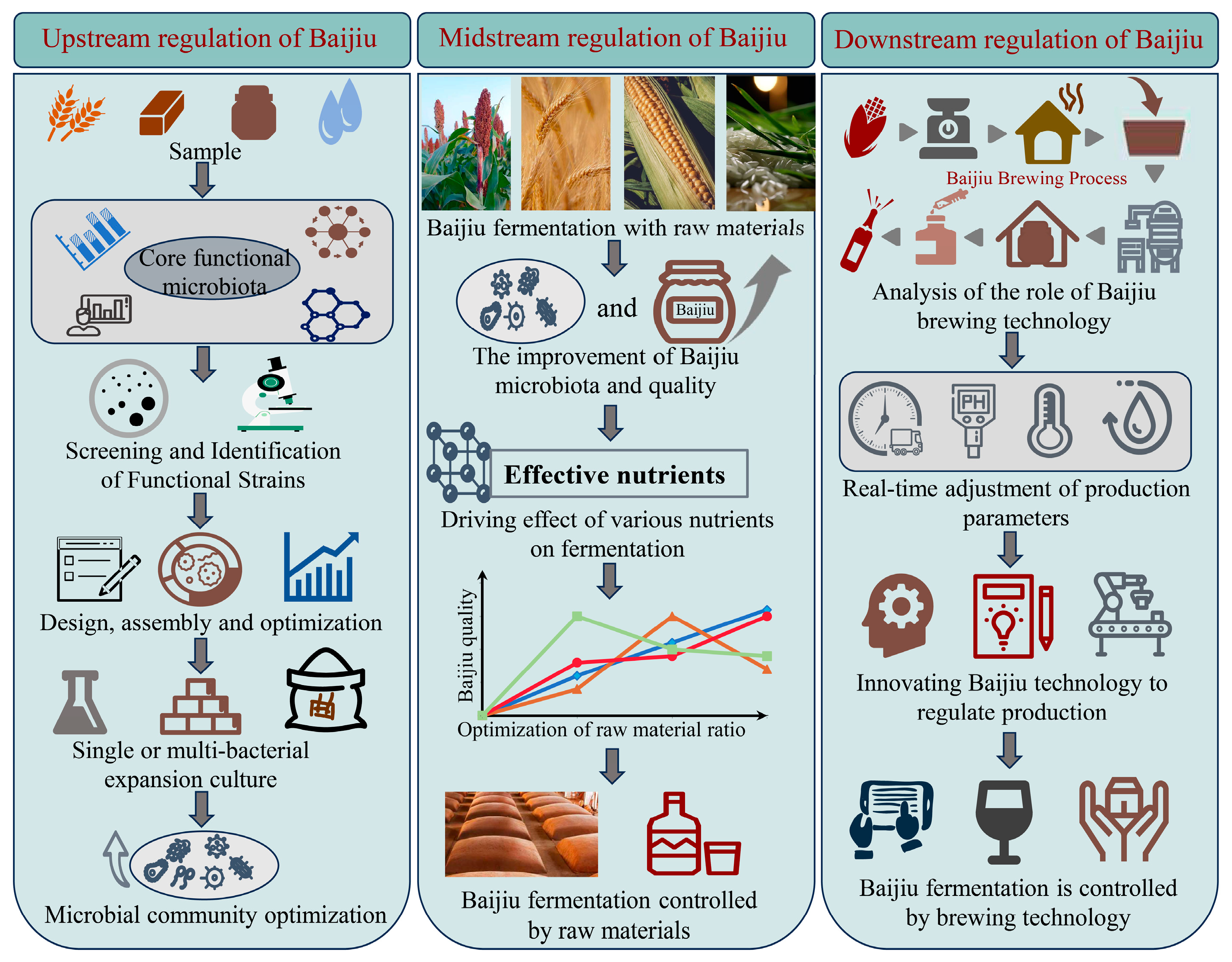 まお Frontiers | Unveiling the immunological landscape