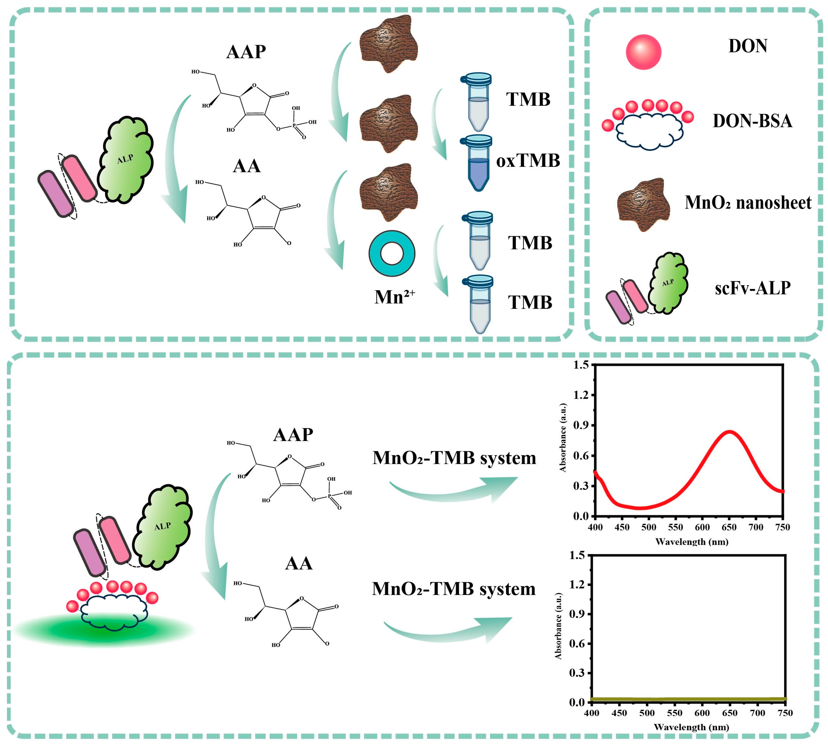 Foods 13 02009 sch001