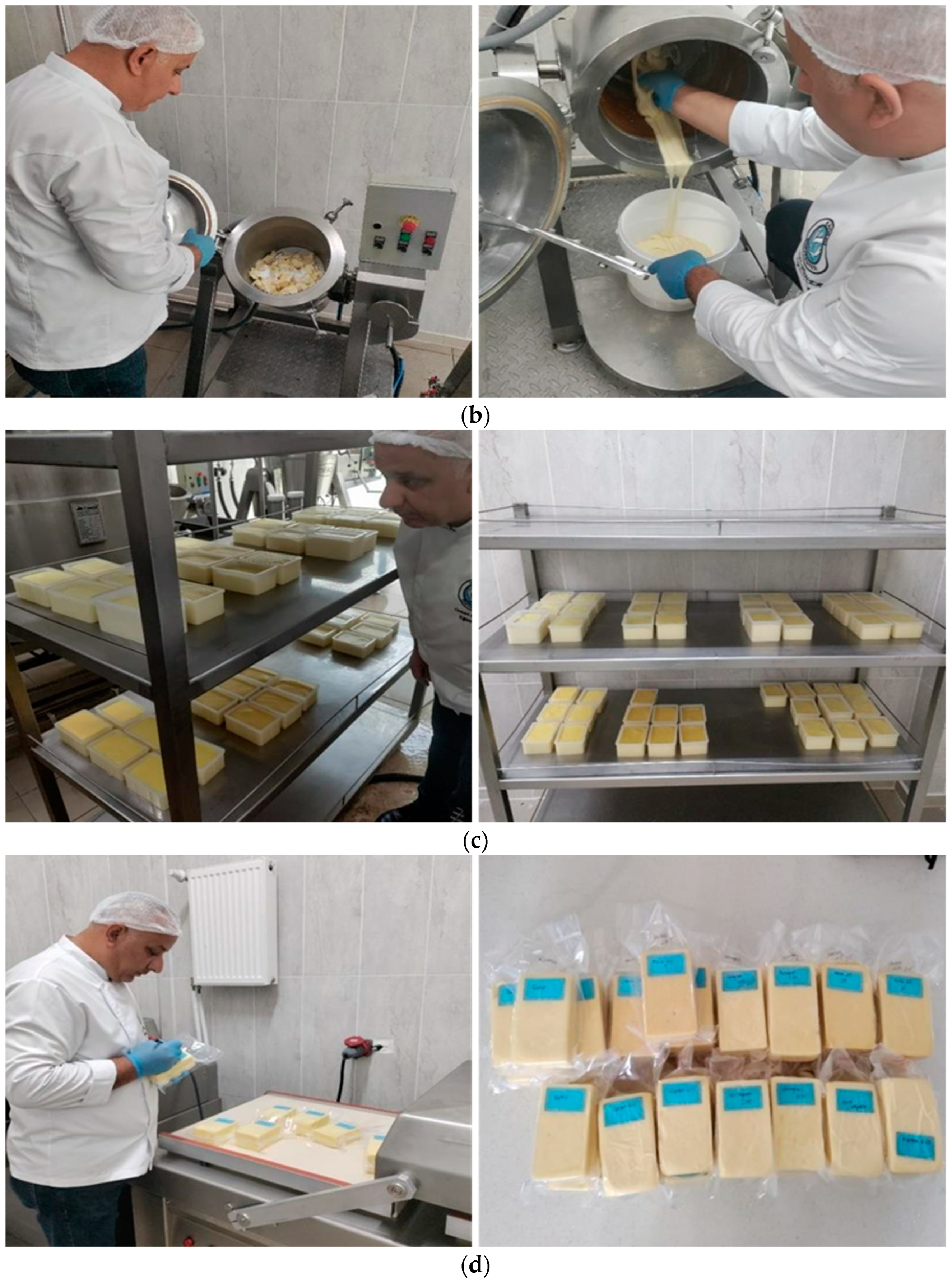 Foods 13 02035 g001b