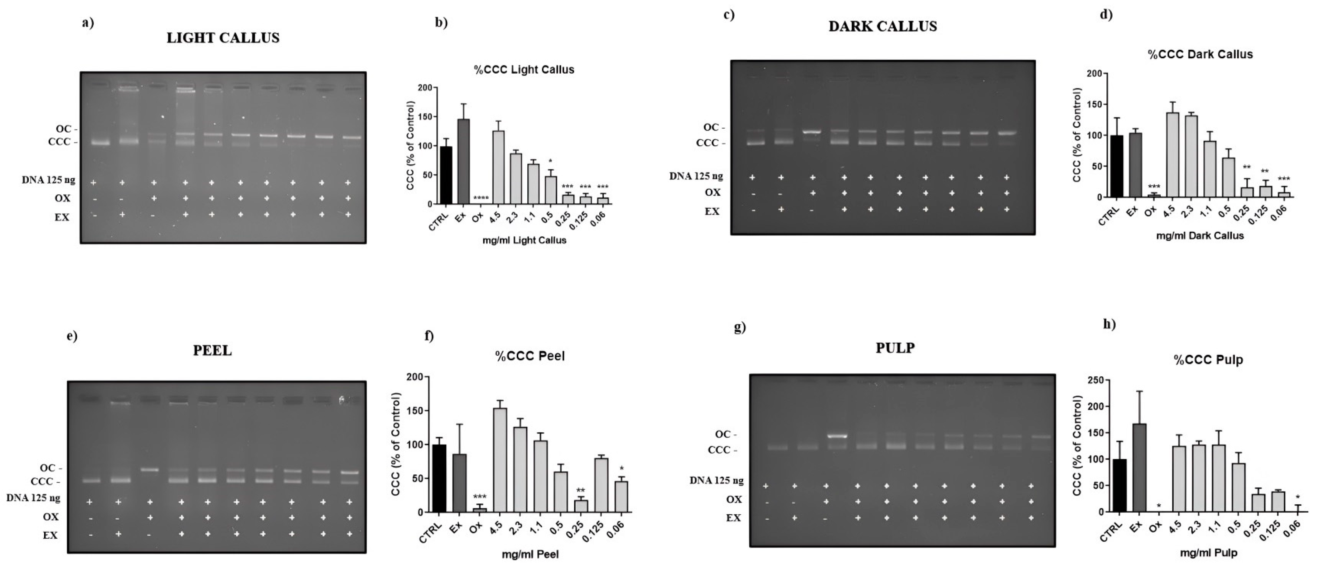 Foods 13 02036 g003 Foods 13 02036 g003