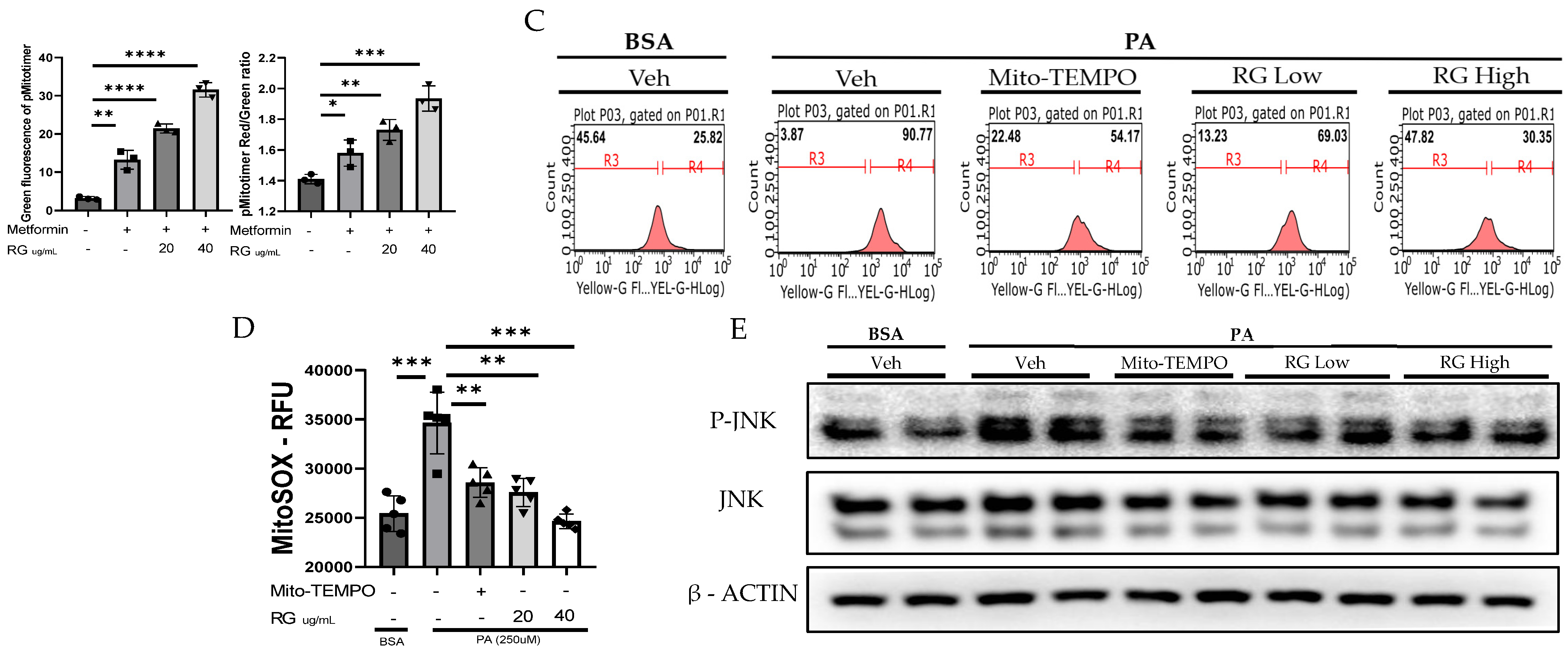 Foods 13 02137 g003b
