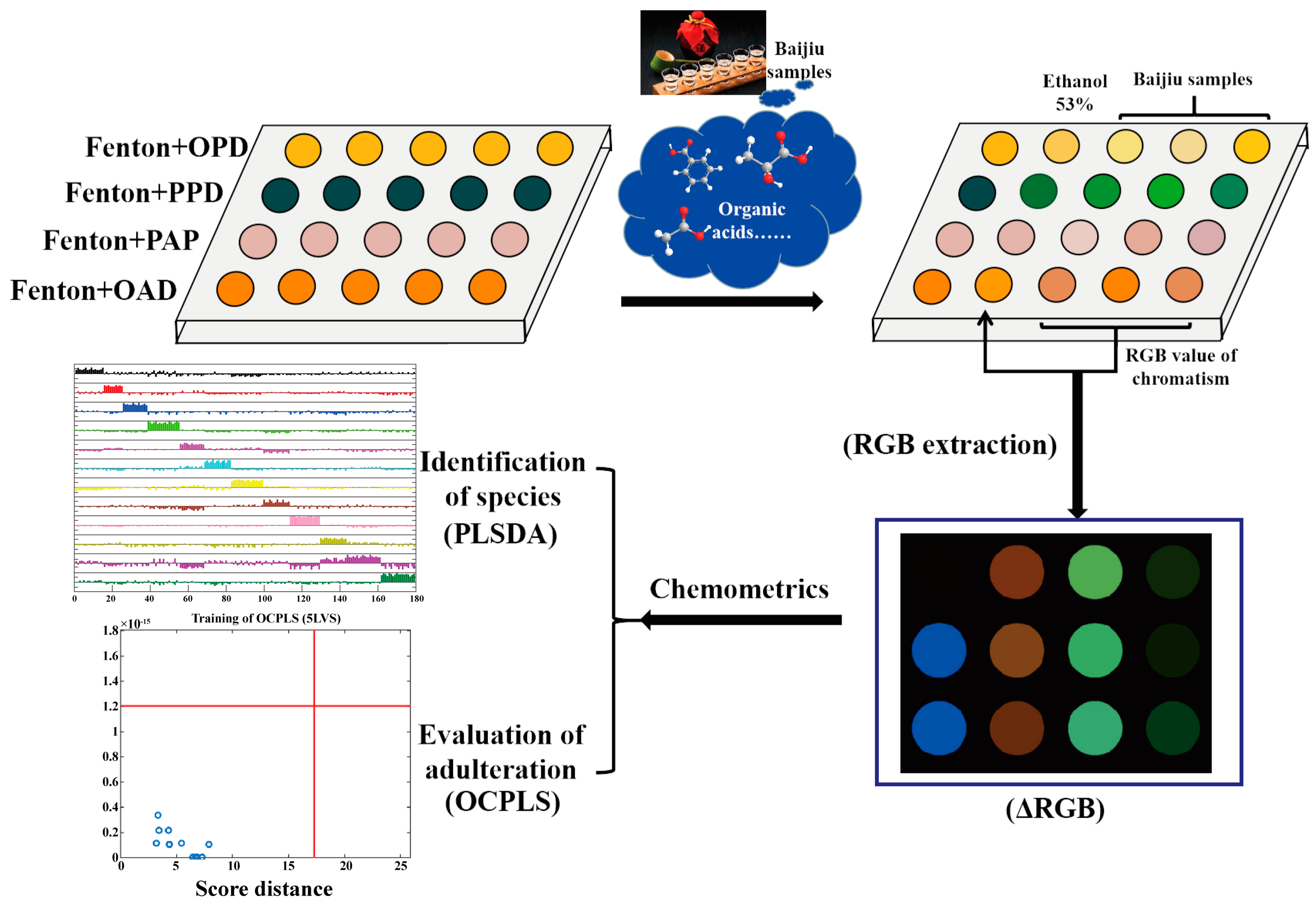 Foods 13 02139 sch001