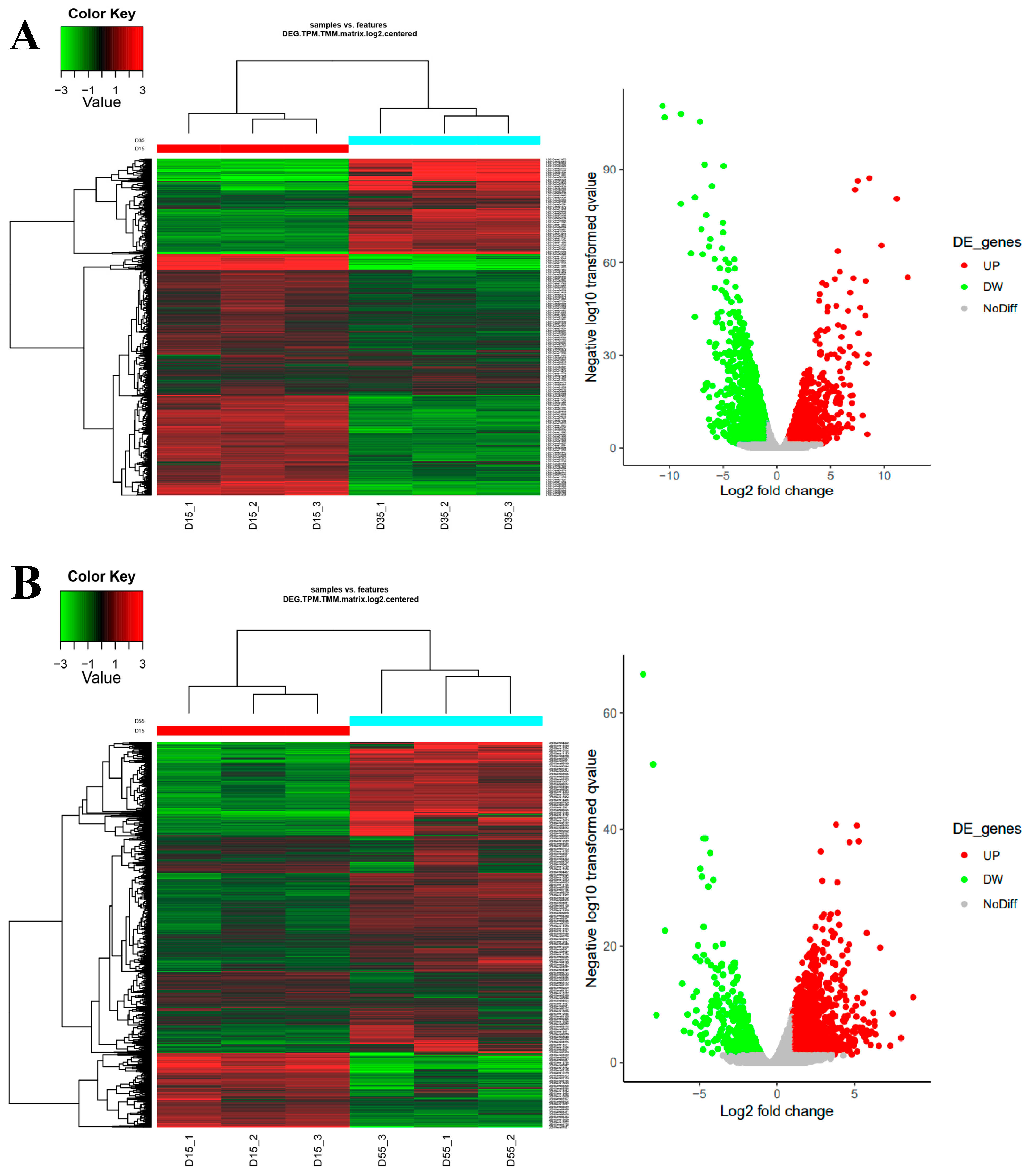 Foods 13 02179 g004a