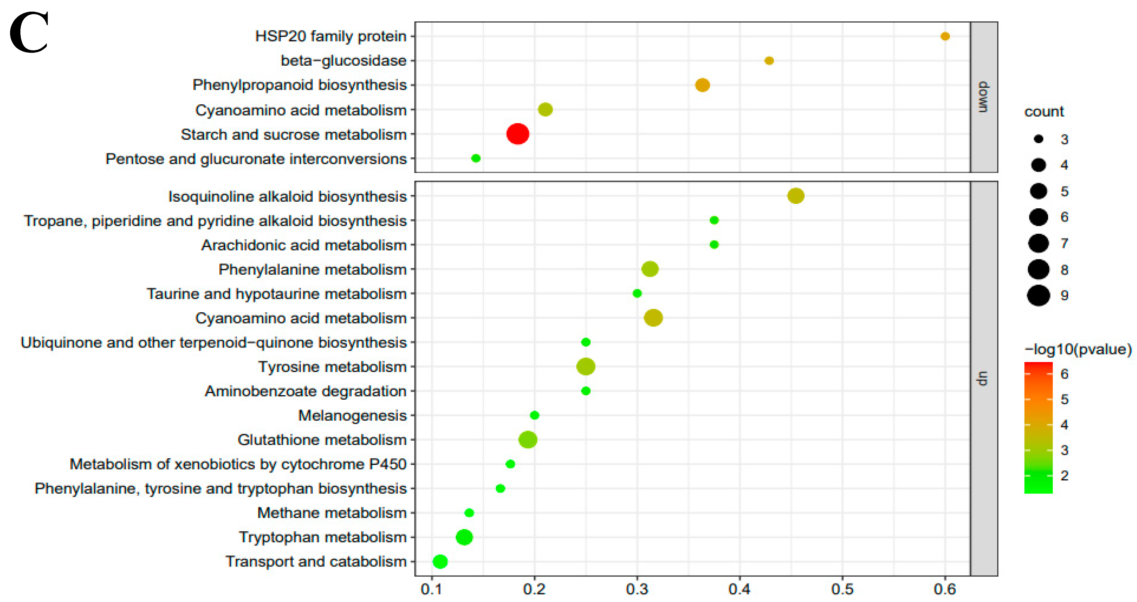 Foods 13 02179 g005b