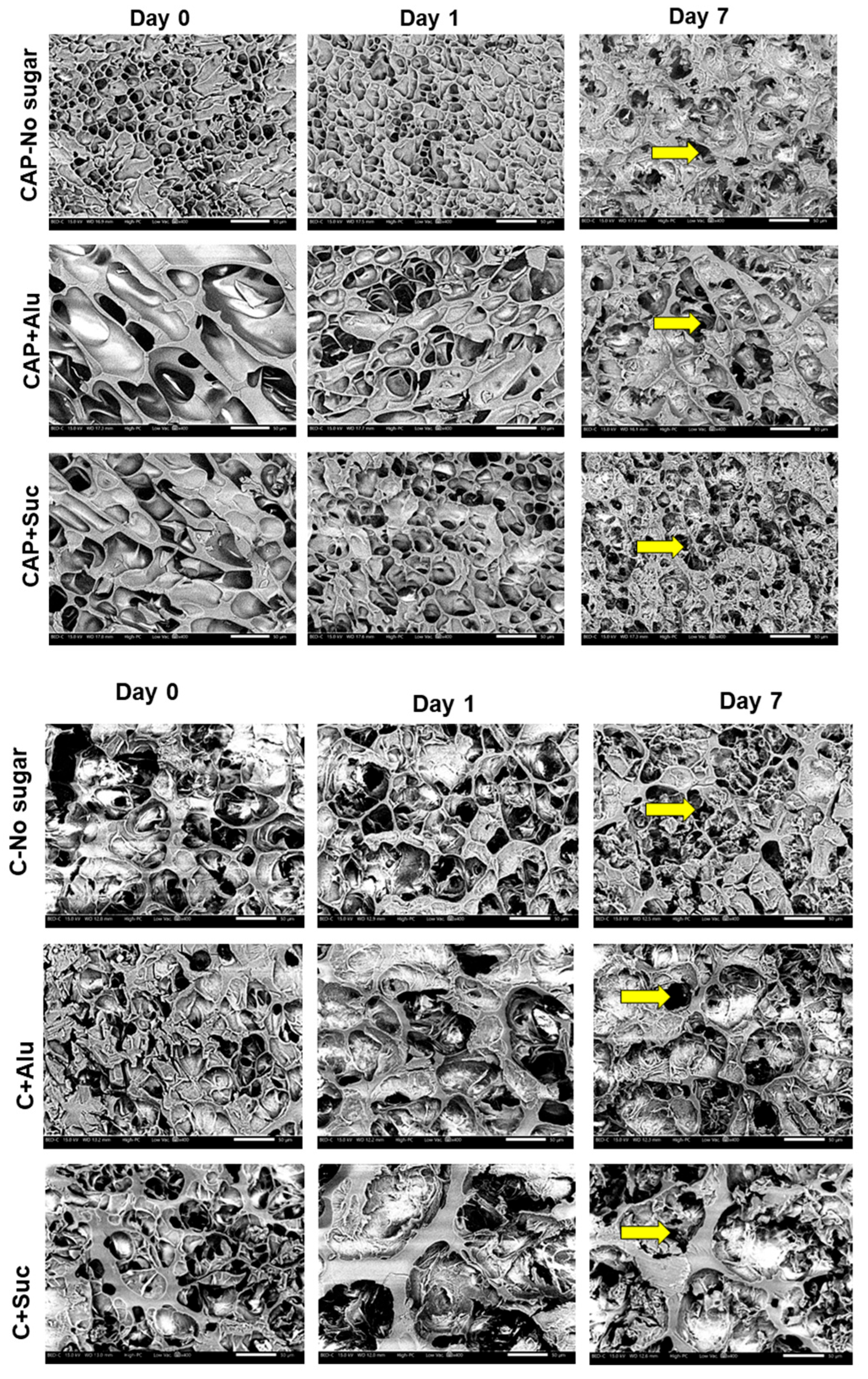Foods 13 02183 g003b