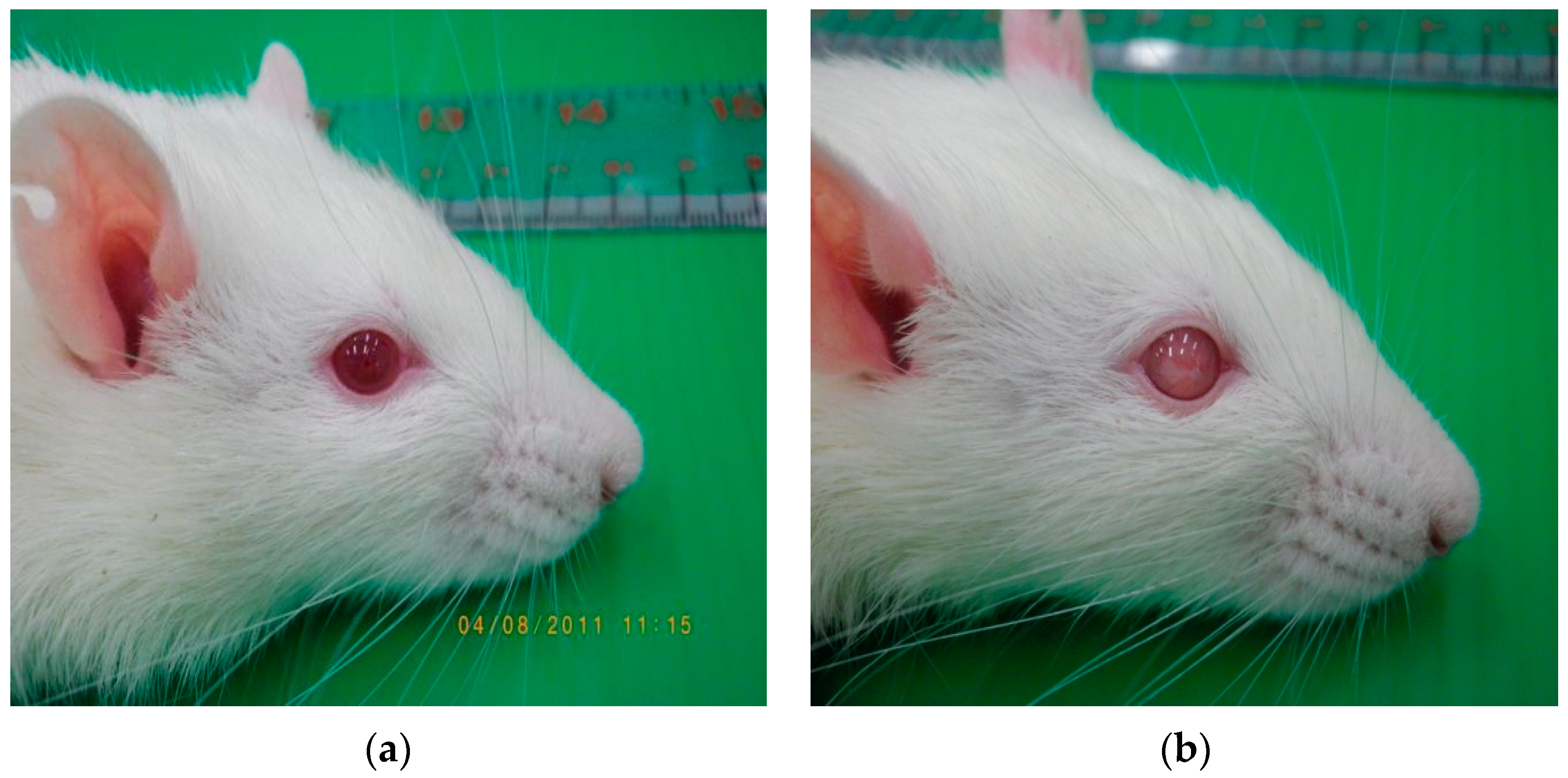 Foods 13 02184 g004 Foods 13 02184 g004