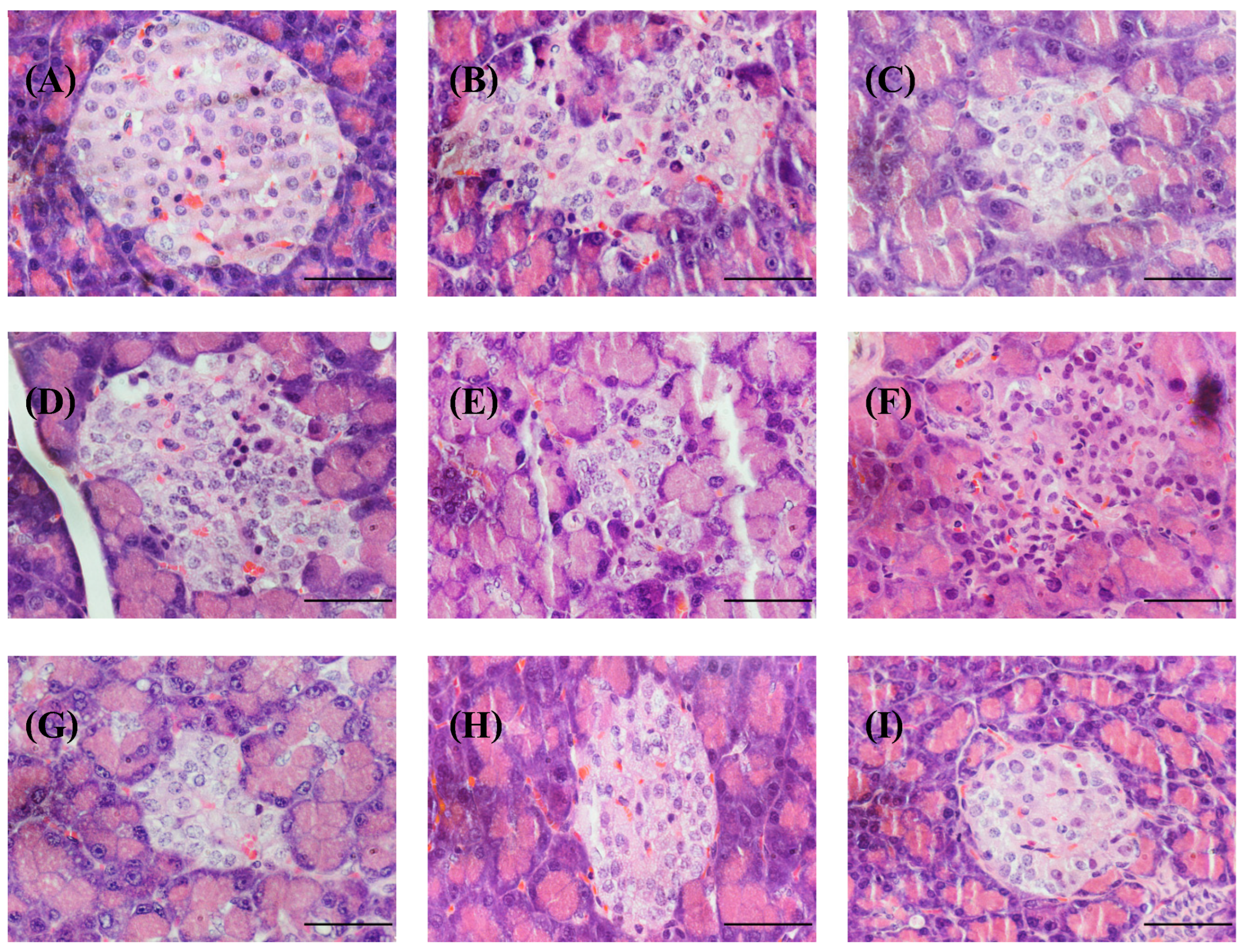 Foods 13 02184 g007 Foods 13 02184 g007