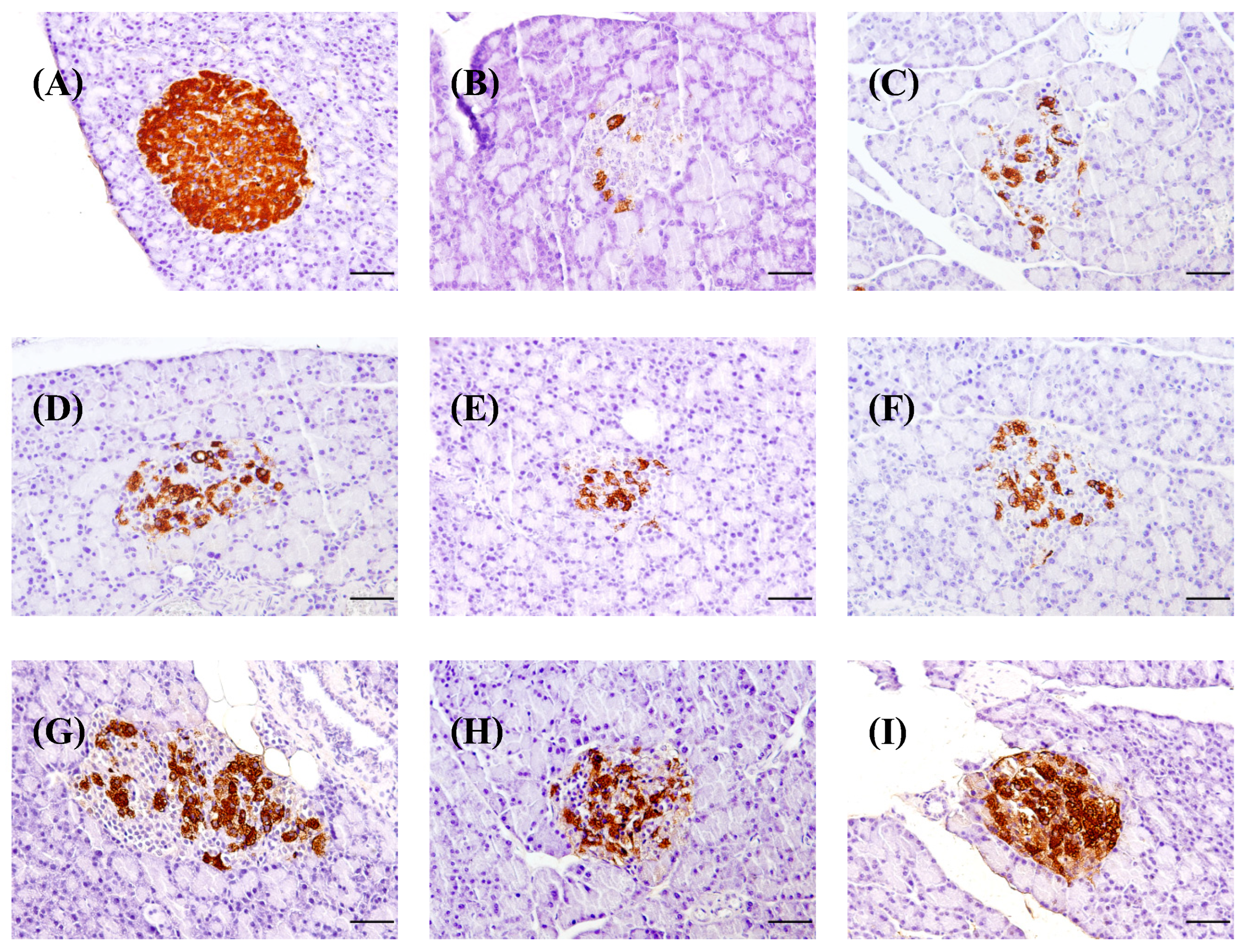 Foods 13 02184 g008 Foods 13 02184 g008