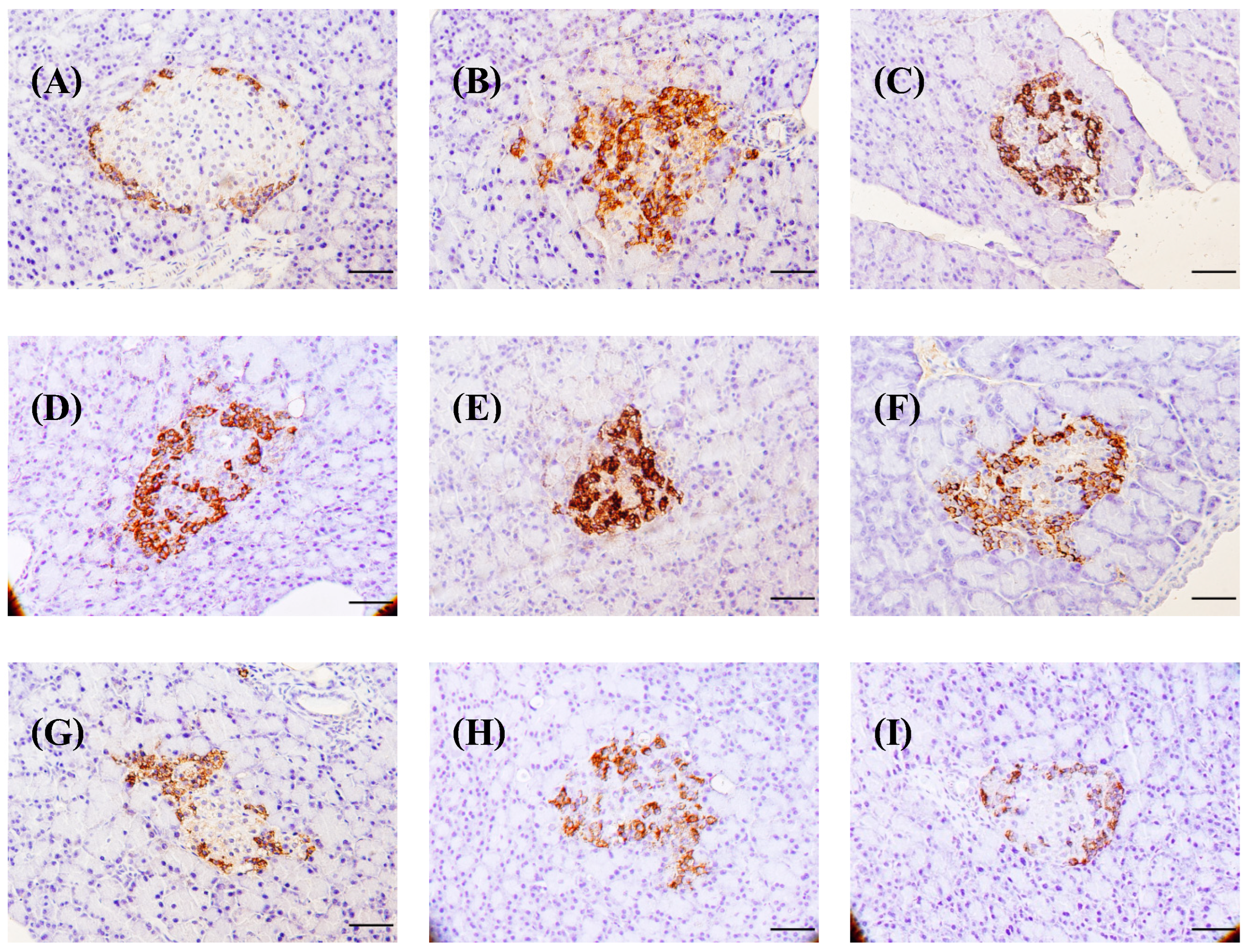 Foods 13 02184 g011 Foods 13 02184 g011