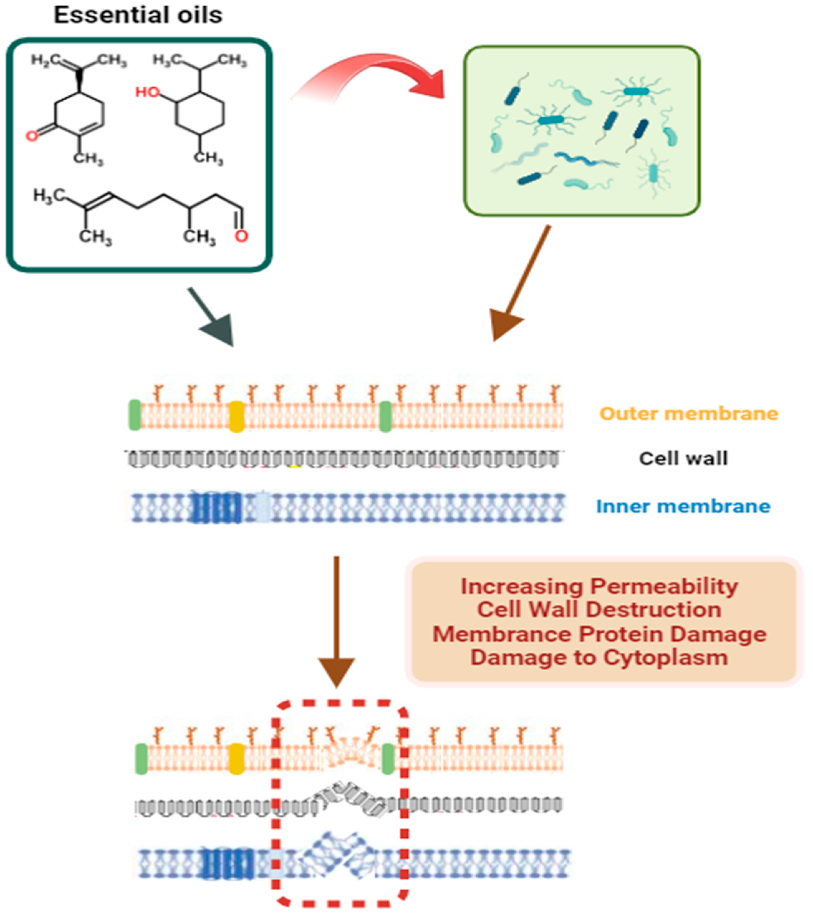 Foods 13 02197 g005 Foods 13 02197 g005