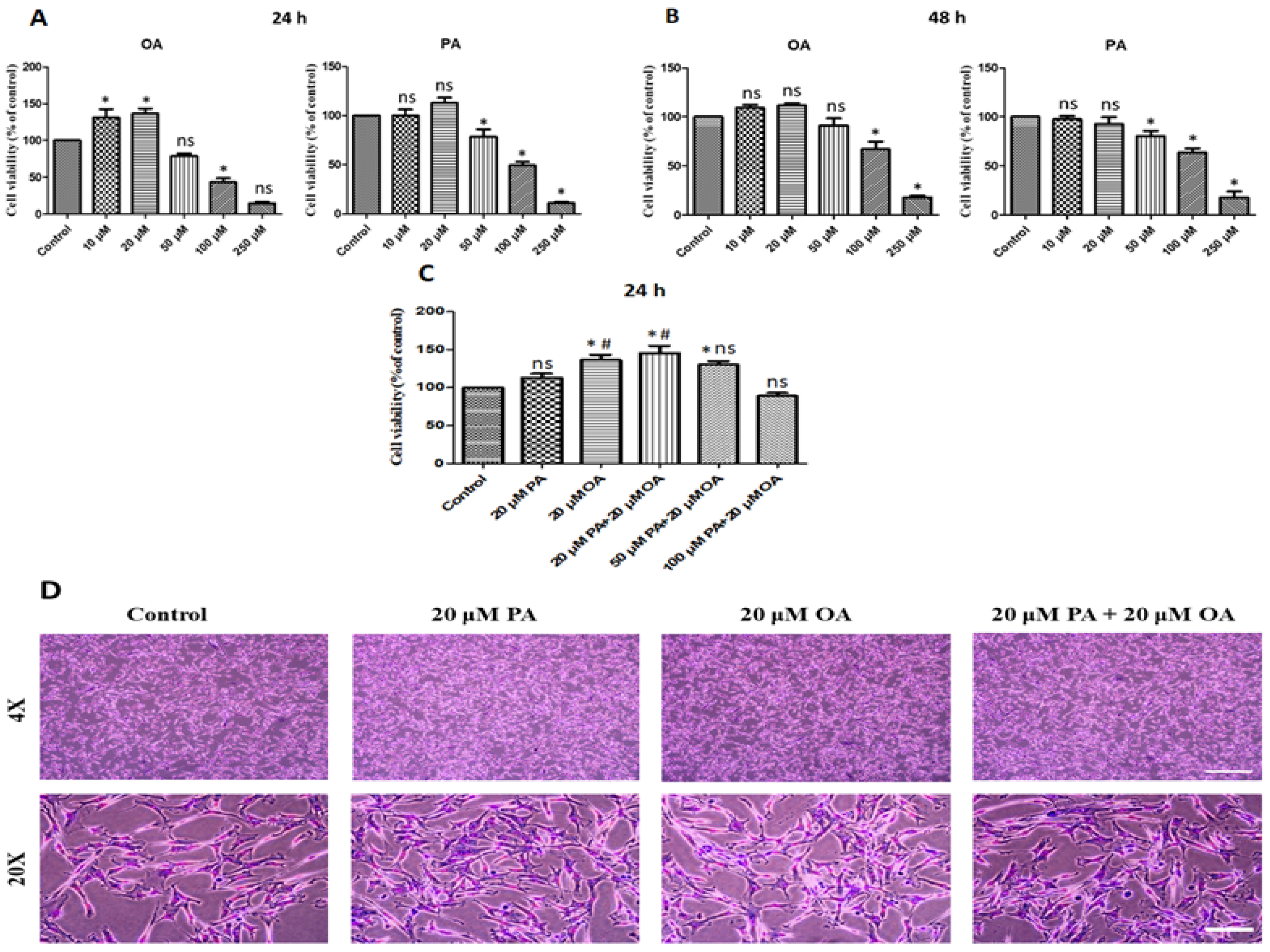 Foods 13 02200 g001 Foods 13 02200 g001