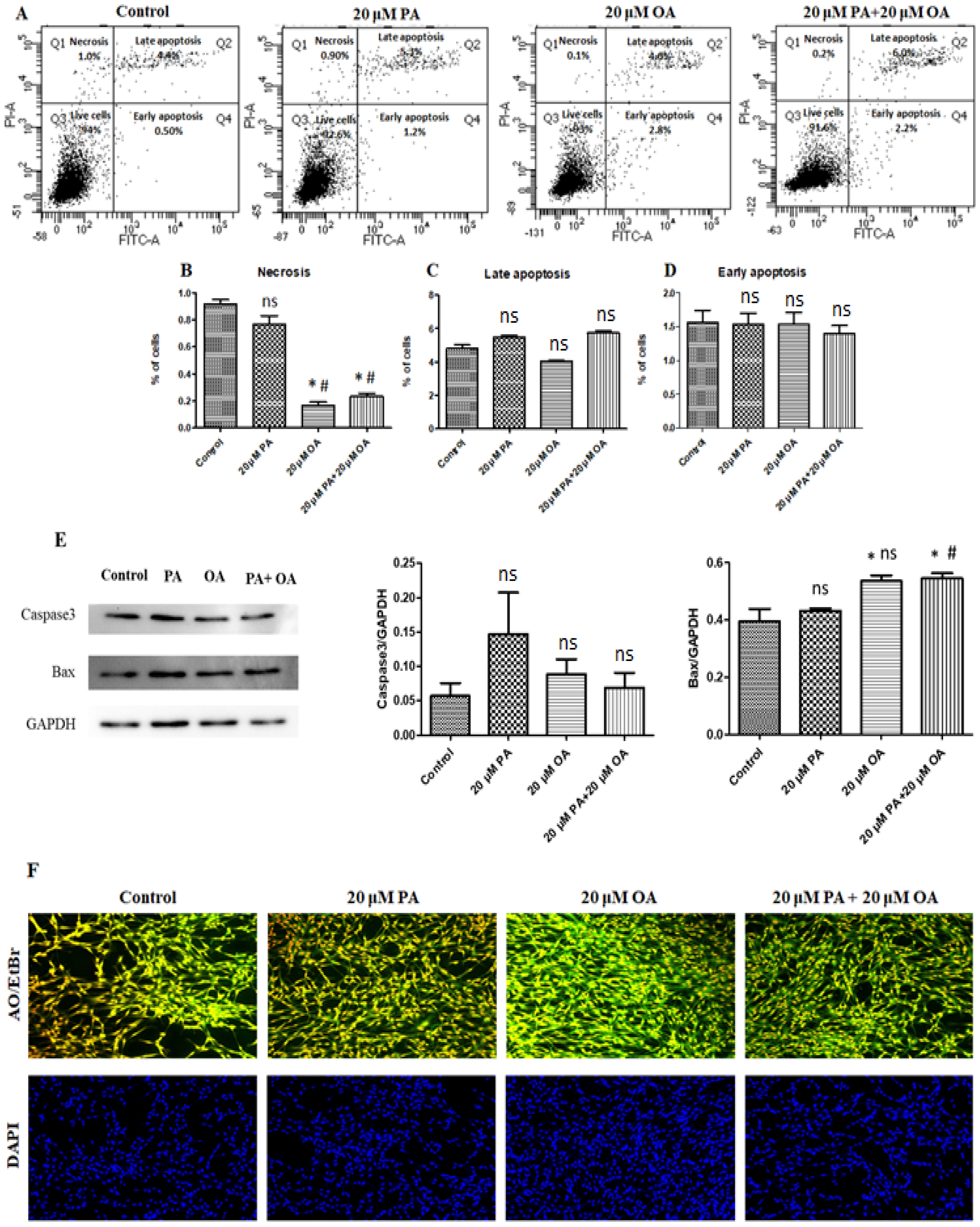 Foods 13 02200 g003 Foods 13 02200 g003