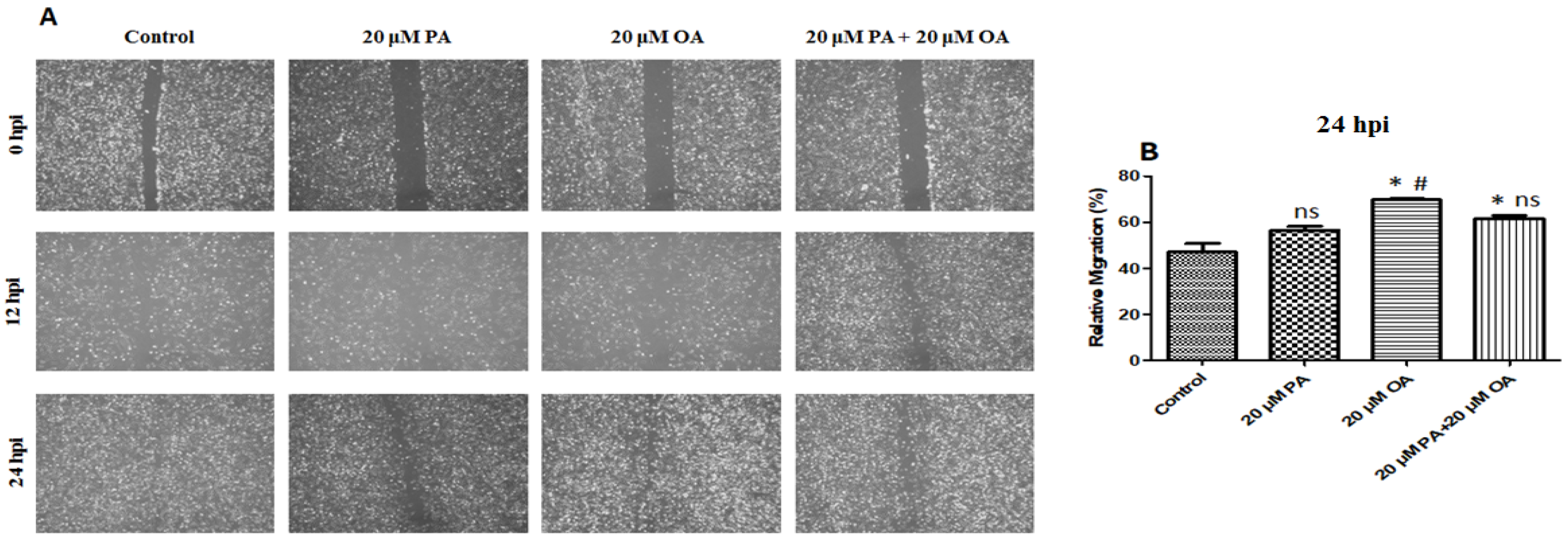 Foods 13 02200 g004 Foods 13 02200 g004