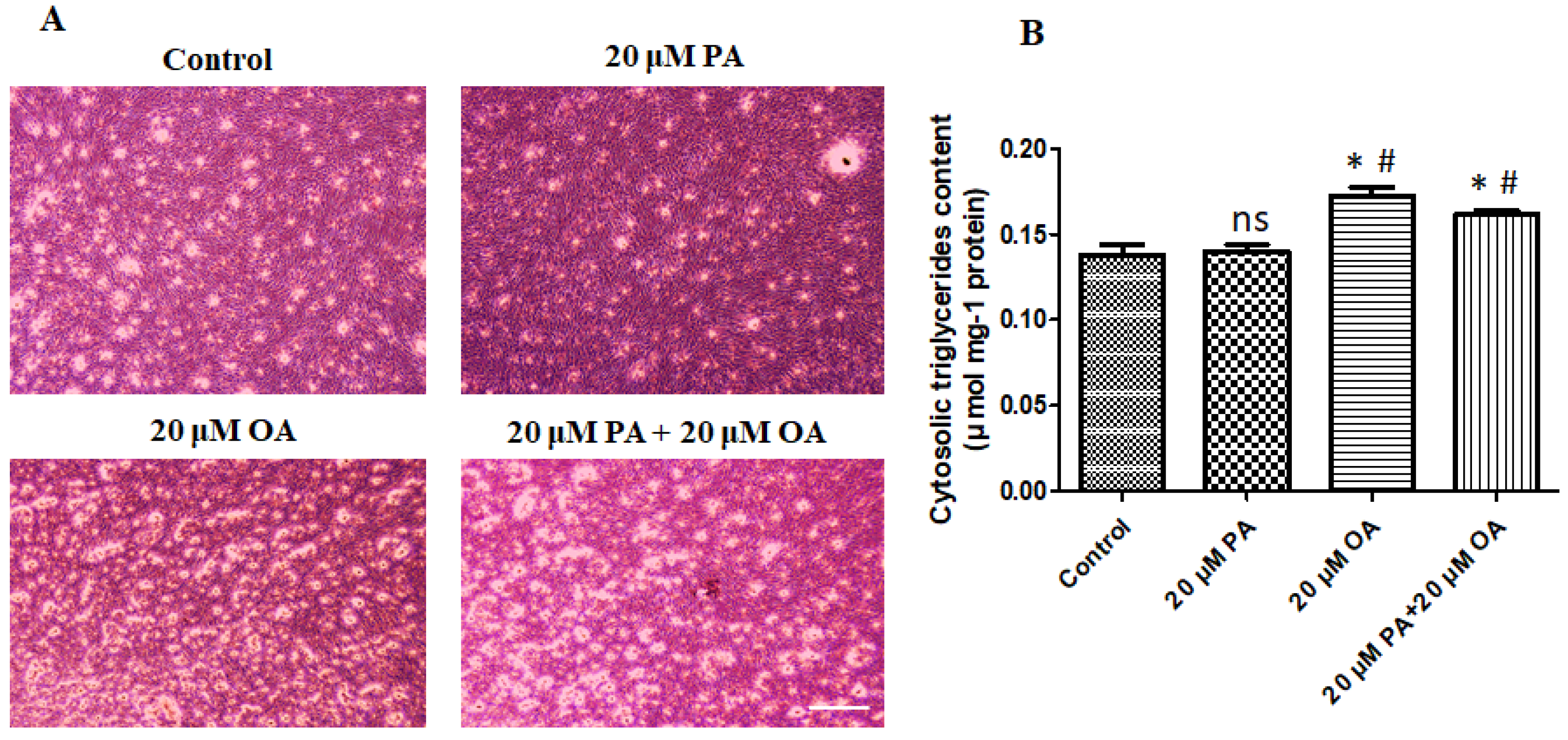 Foods 13 02200 g007 Foods 13 02200 g007