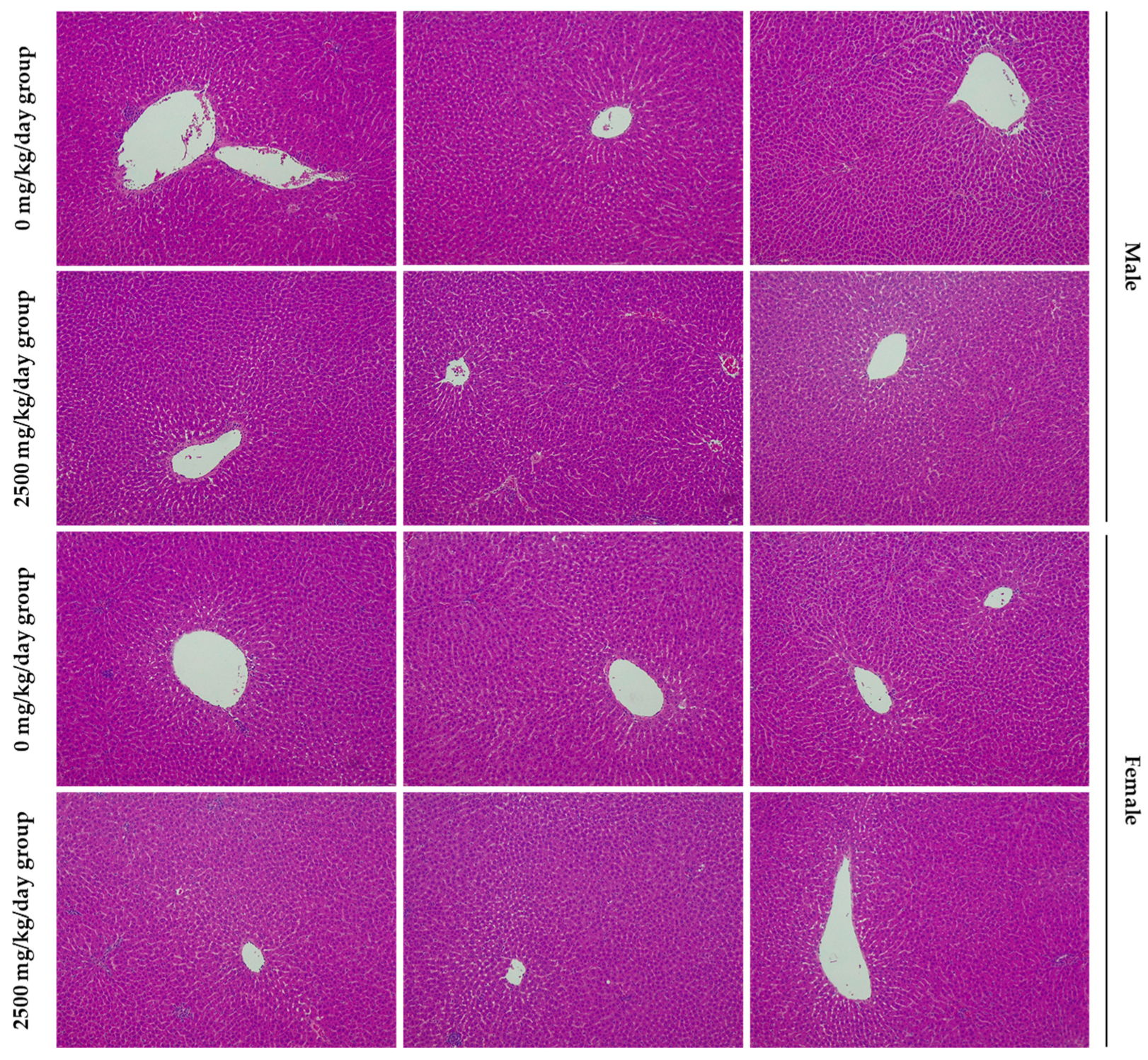 Foods 13 02209 g003 Foods 13 02209 g003