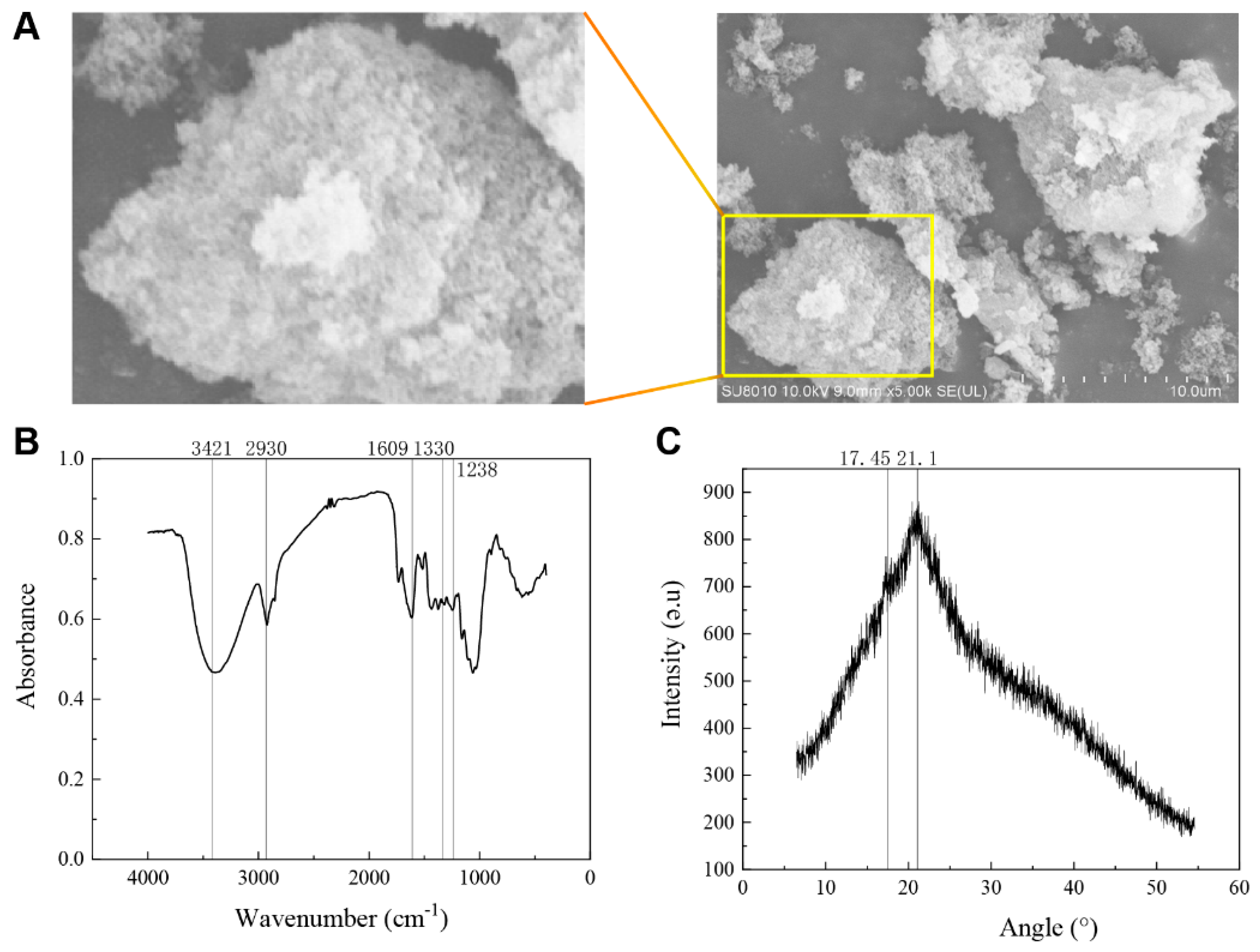 Foods 13 02220 g001 Foods 13 02220 g001