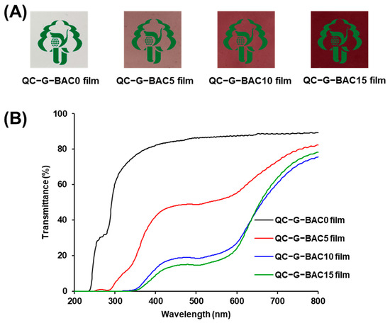 Intelligent Food Packaging: Quaternary Ammonium Chitosan