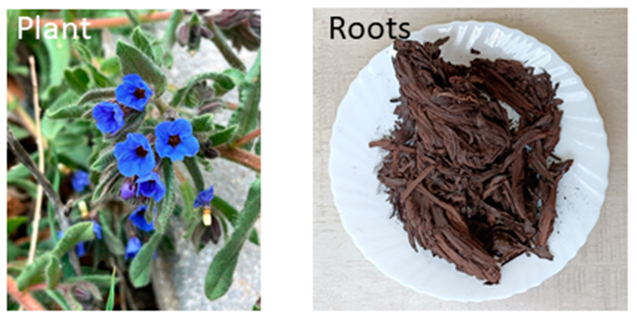 Foods 13 02254 g001 Foods 13 02254 g001