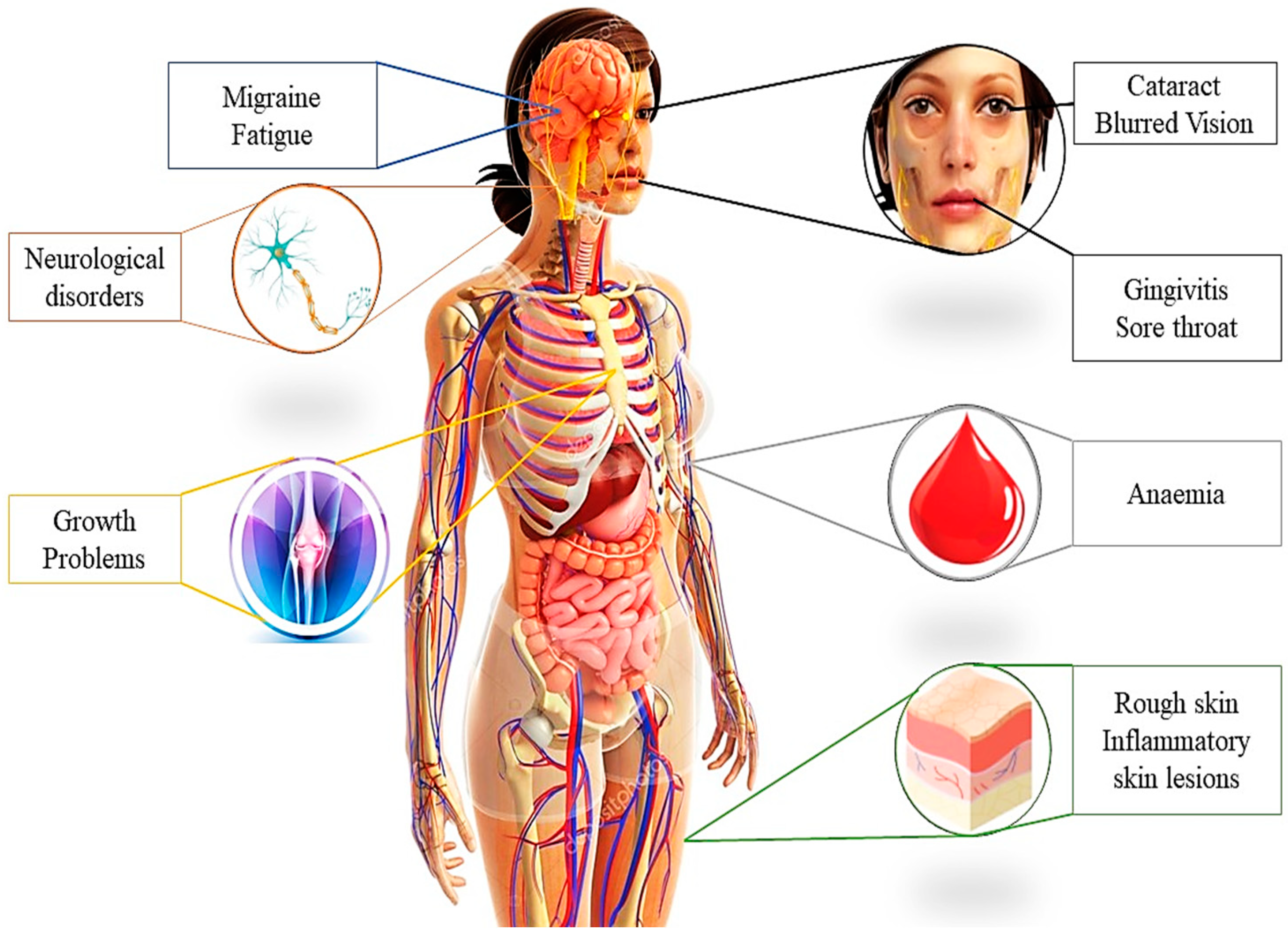 Foods 13 02255 g004 Foods 13 02255 g004