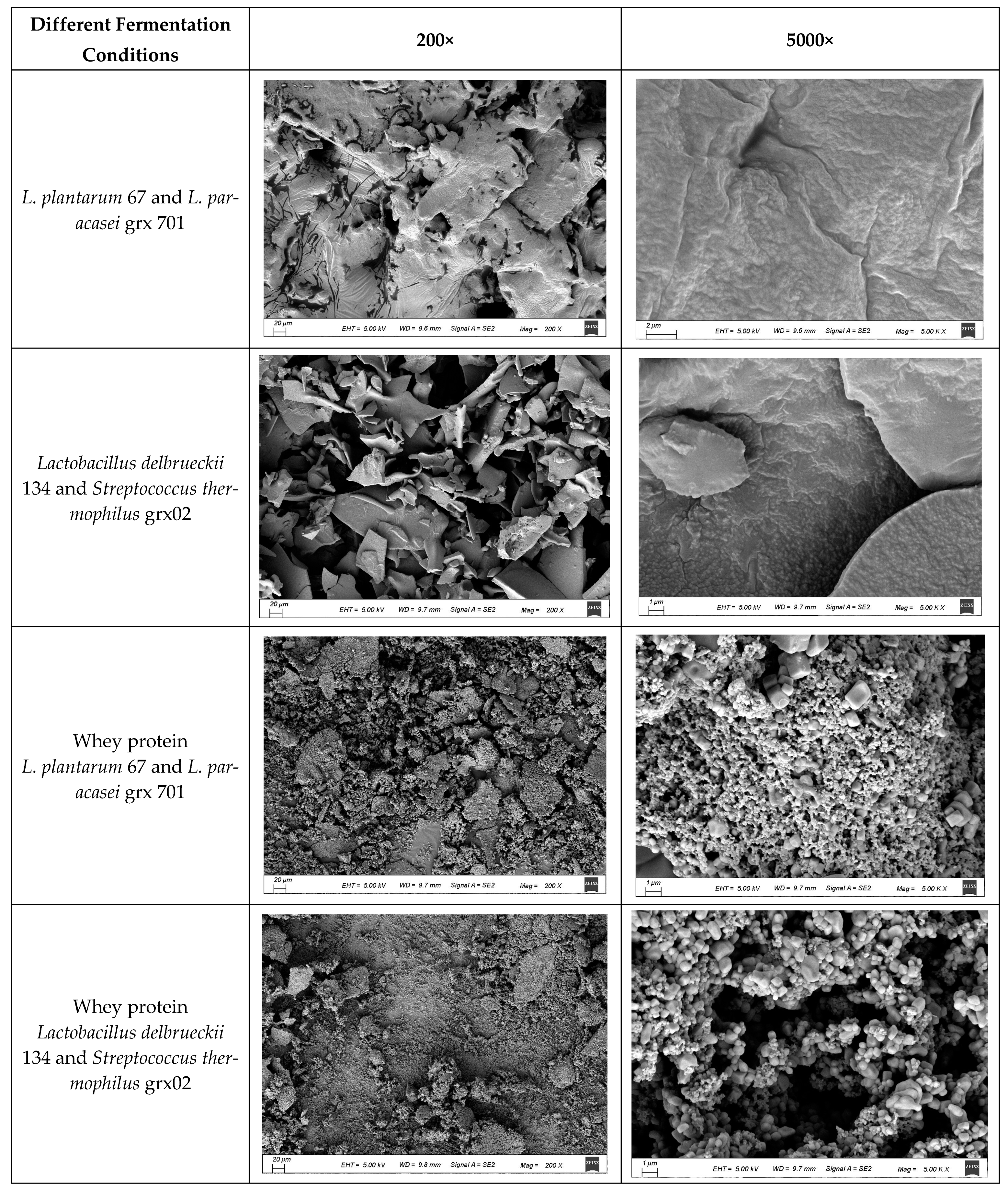 Foods 13 02260 g006a