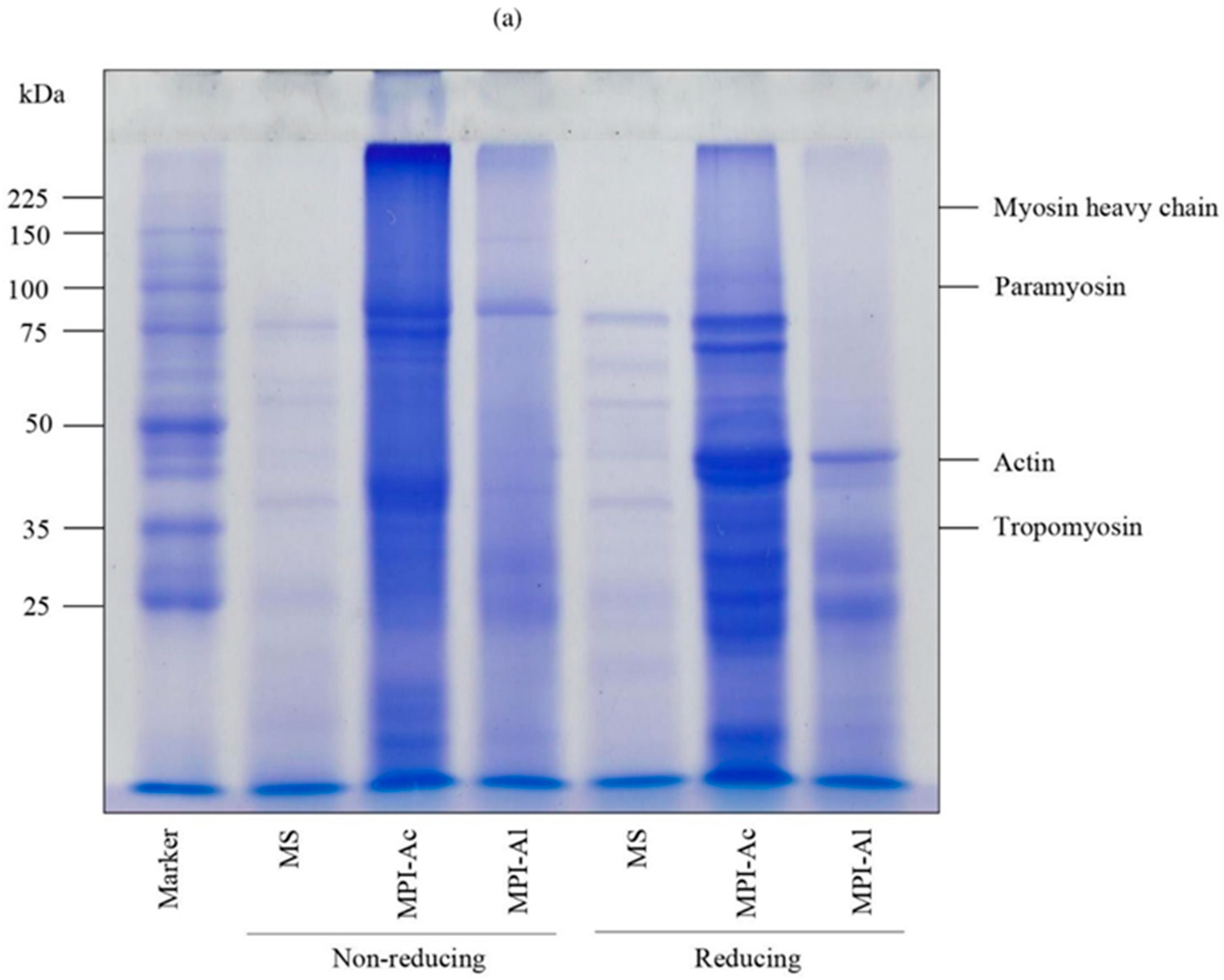 Foods 13 02312 g004a Foods 13 02312 g004a