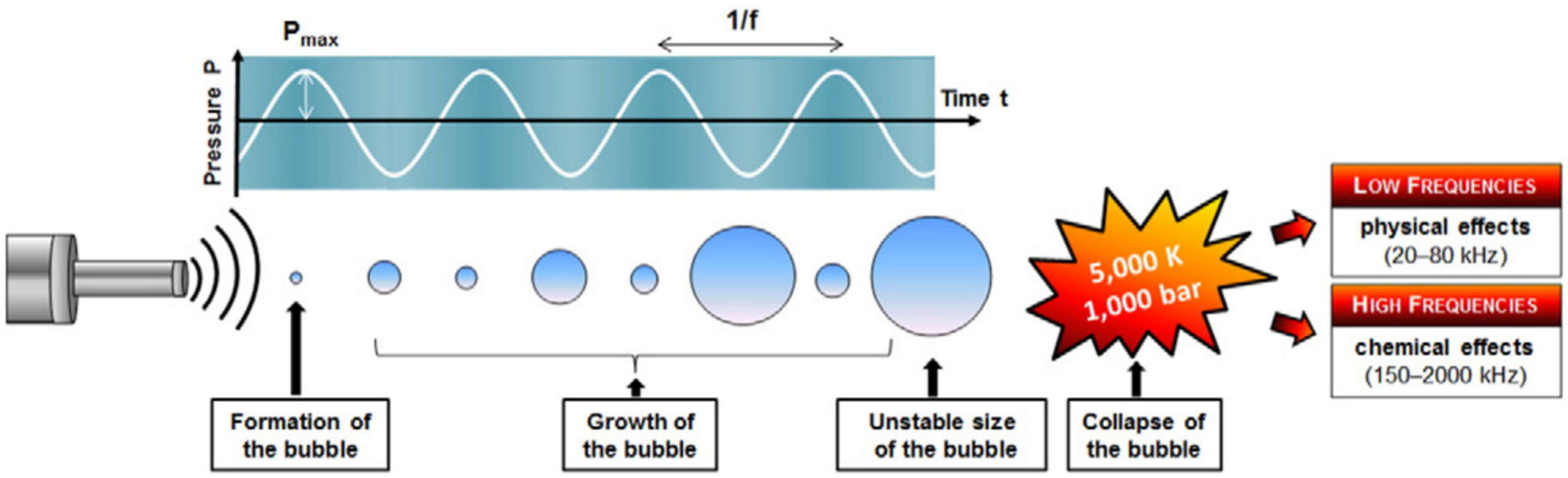 Foods 13 02325 g001 Foods 13 02325 g001