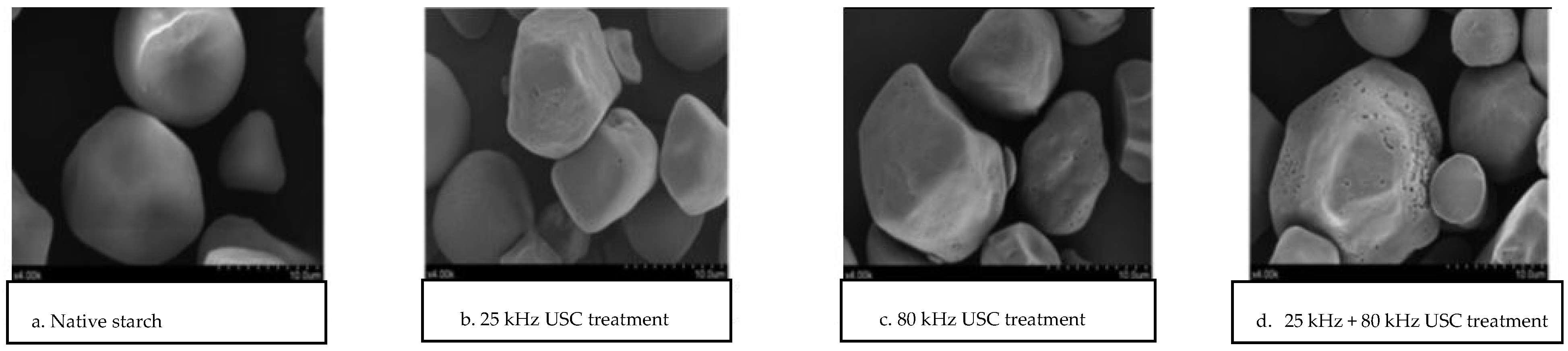 Foods 13 02325 g003 Foods 13 02325 g003