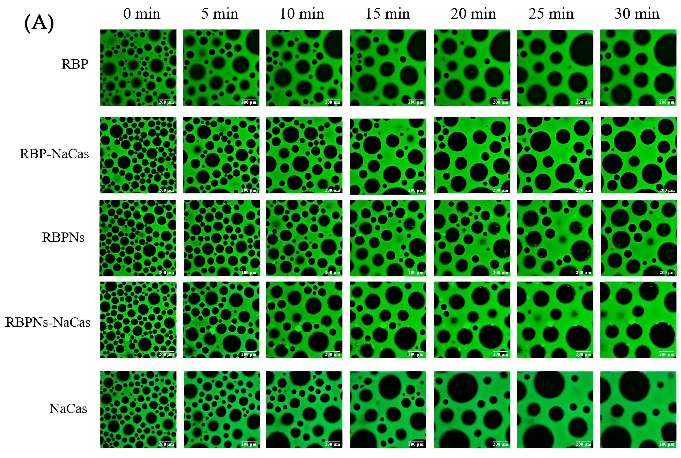 Foods 13 02328 g004a