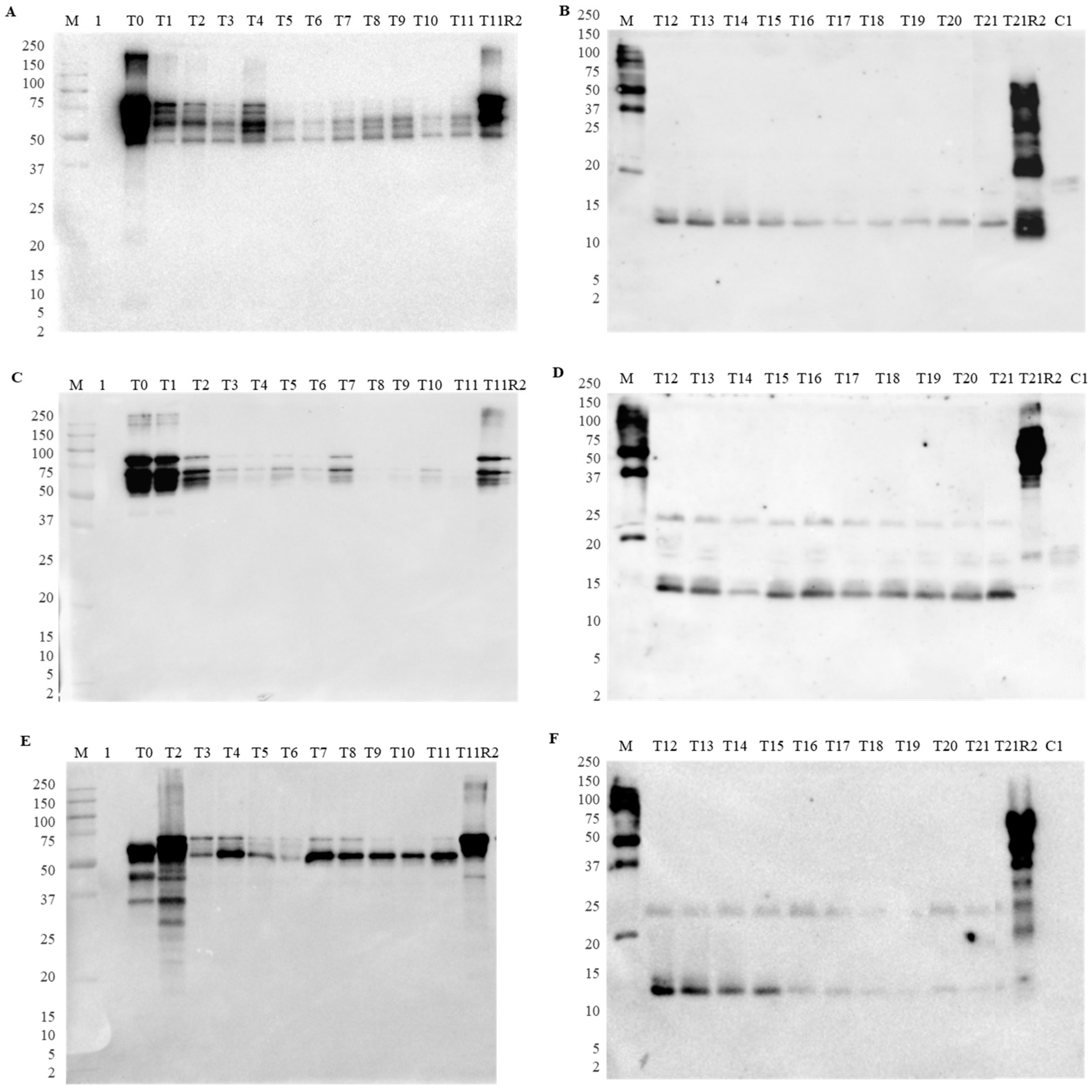 Foods 13 02330 g002 Foods 13 02330 g002