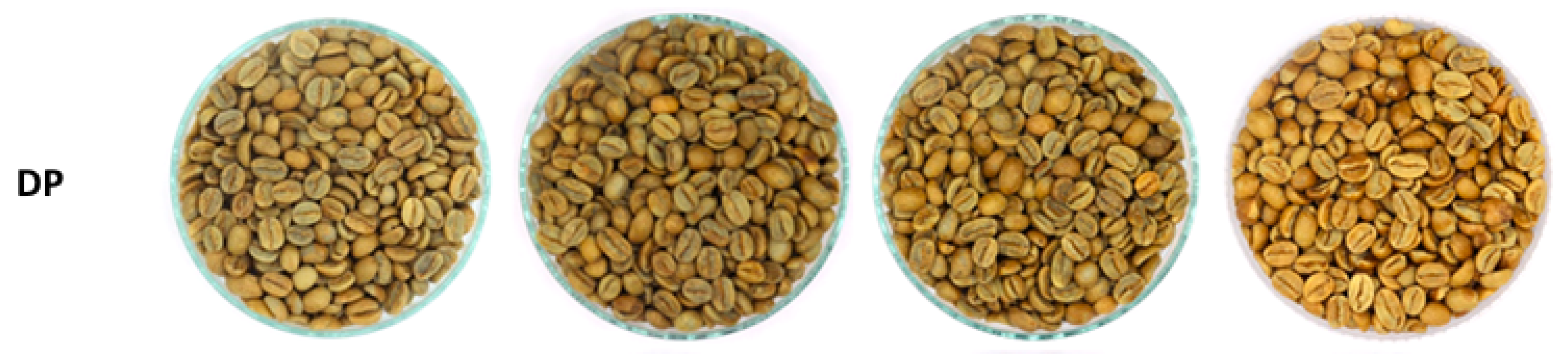 Foods 13 02331 g002a