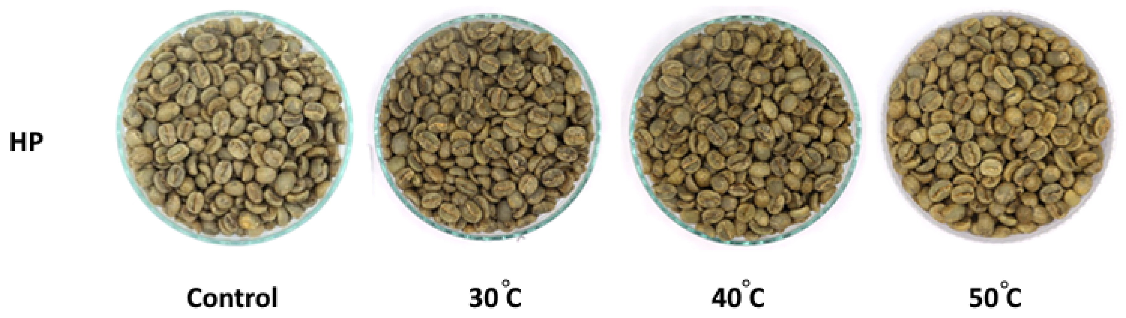 Foods 13 02331 g002b