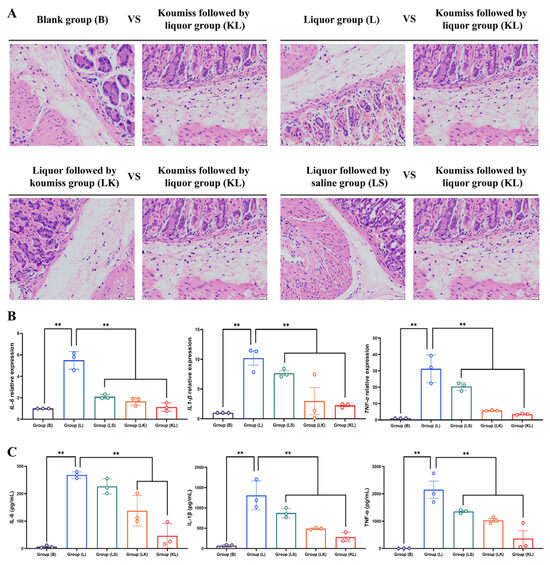 エナジーマーカー　パラレル　E-43 漫画ブースター エナジーマーカー パラレル E-43 美品 Dragon