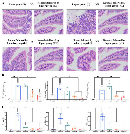 Food from Equids—Commercial Fermented Mare's Milk (Koumiss