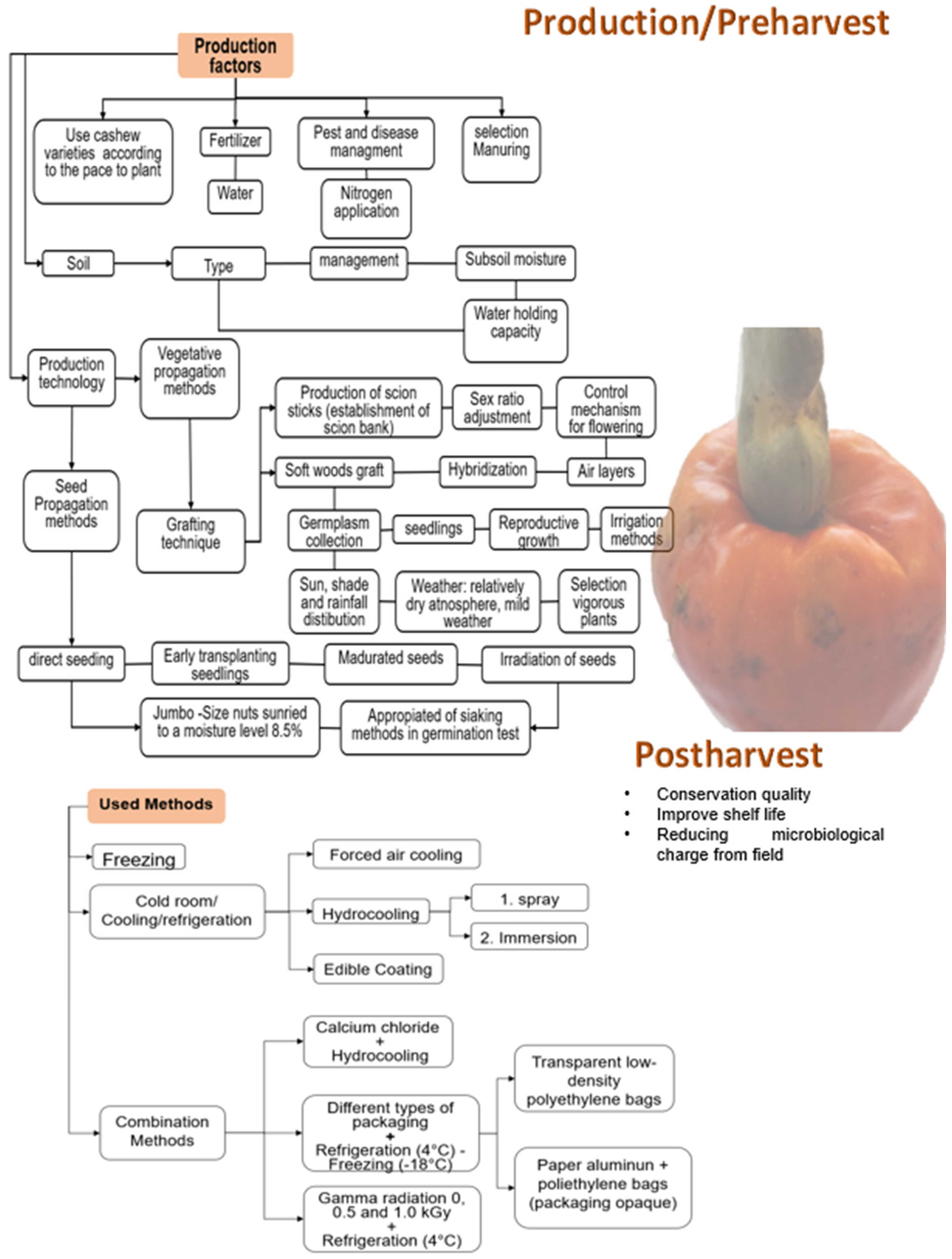 Foods 13 02357 g003 Foods 13 02357 g003