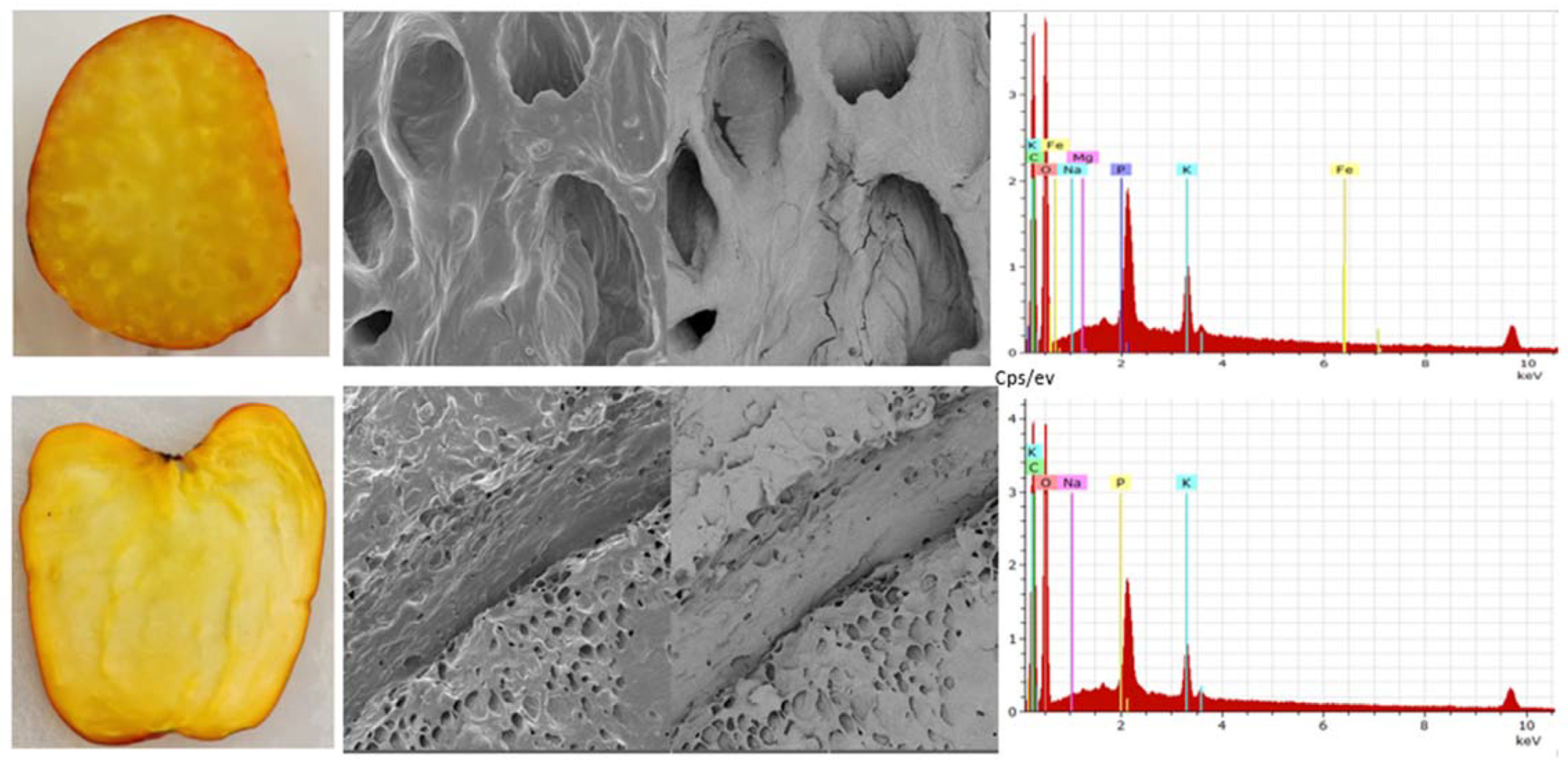 Foods 13 02357 g005 Foods 13 02357 g005