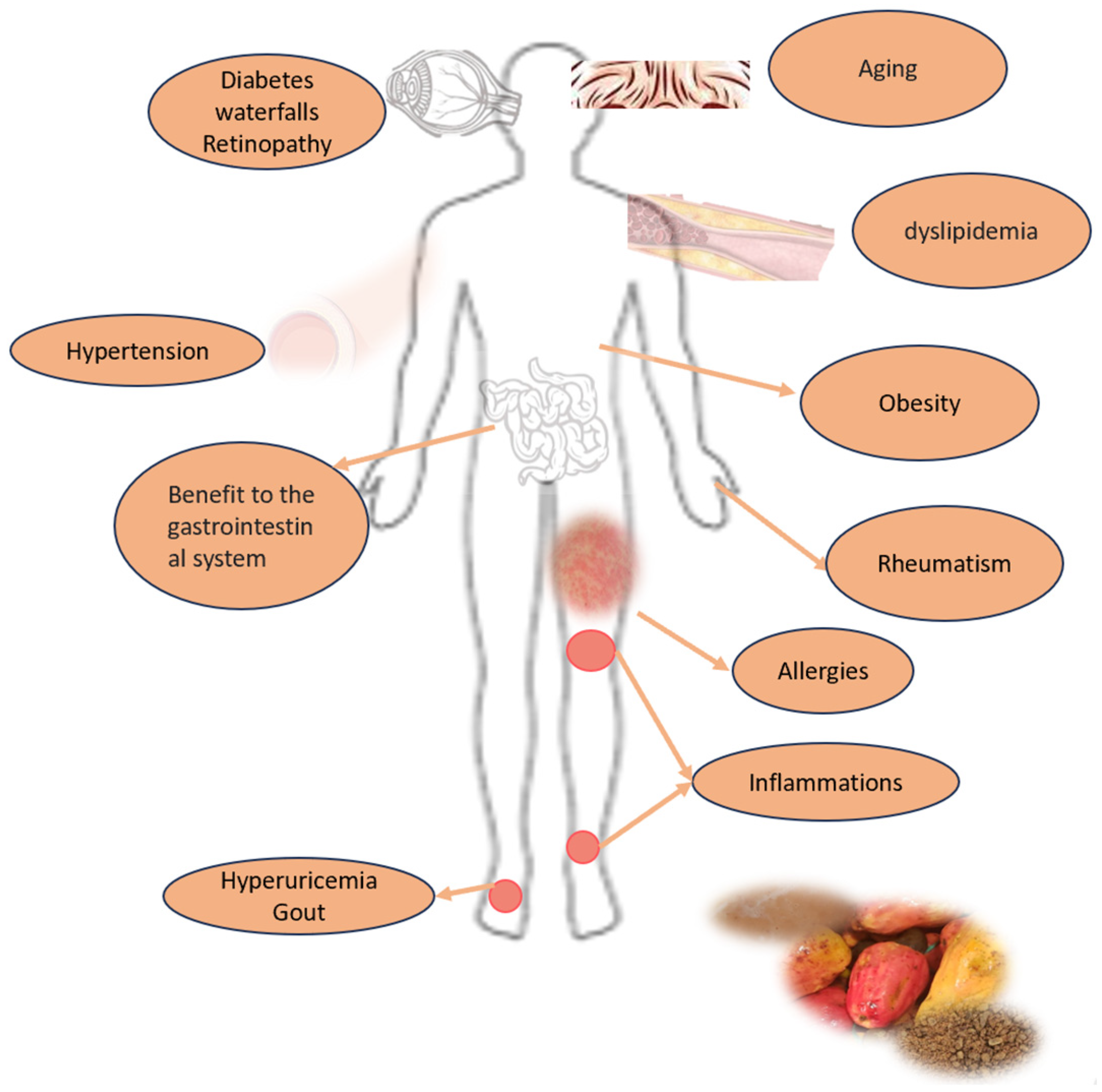 Foods 13 02357 g006 Foods 13 02357 g006