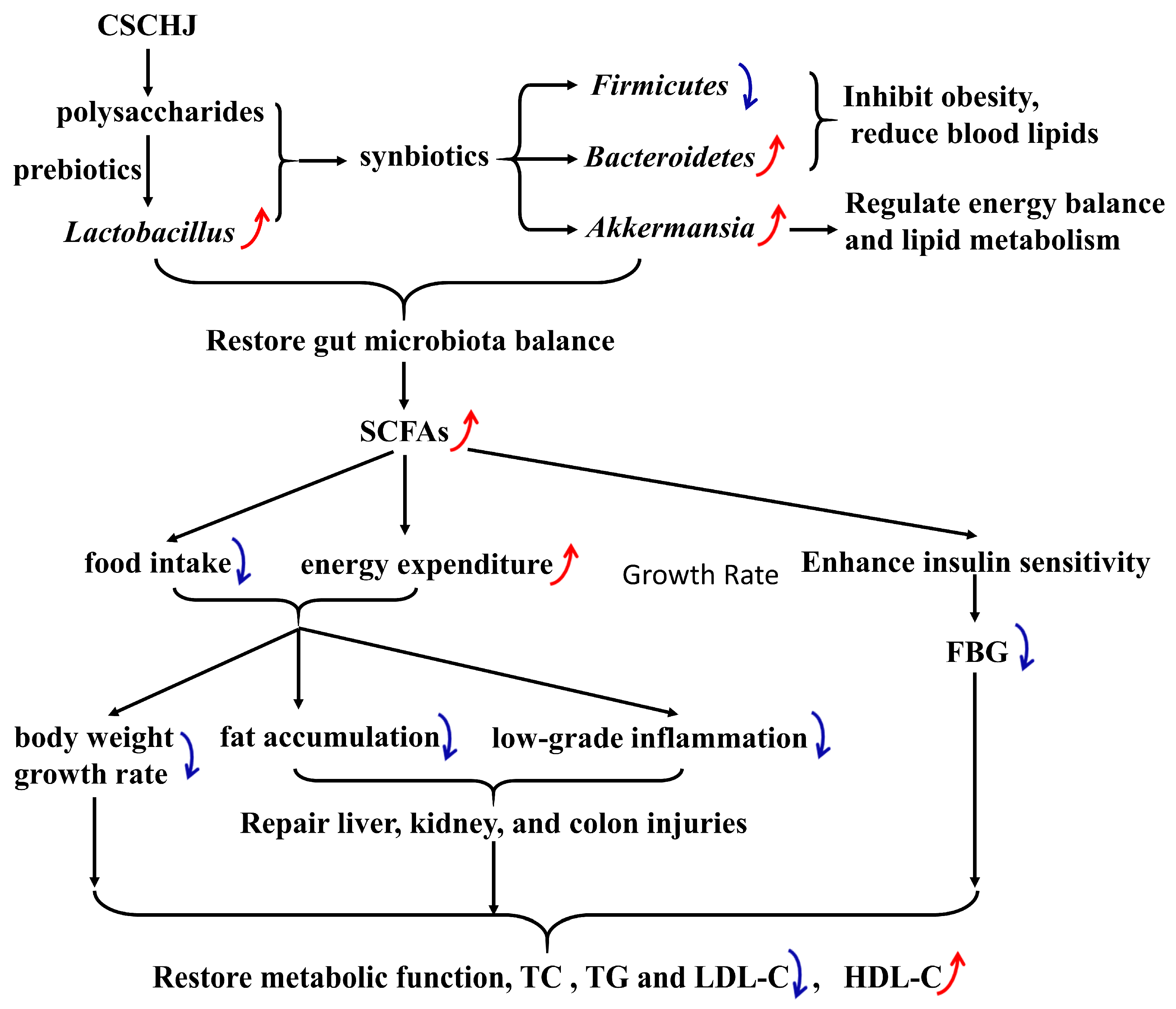 Foods 13 02360 g008 Foods 13 02360 g008