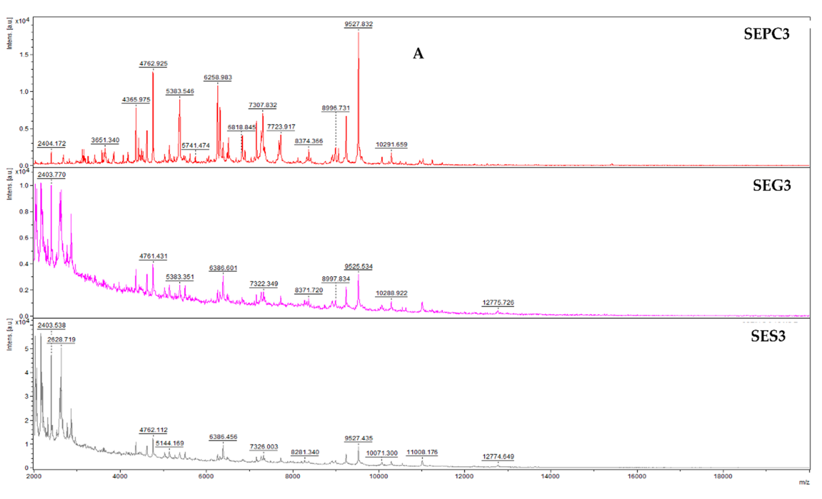 Foods 13 02512 g002a