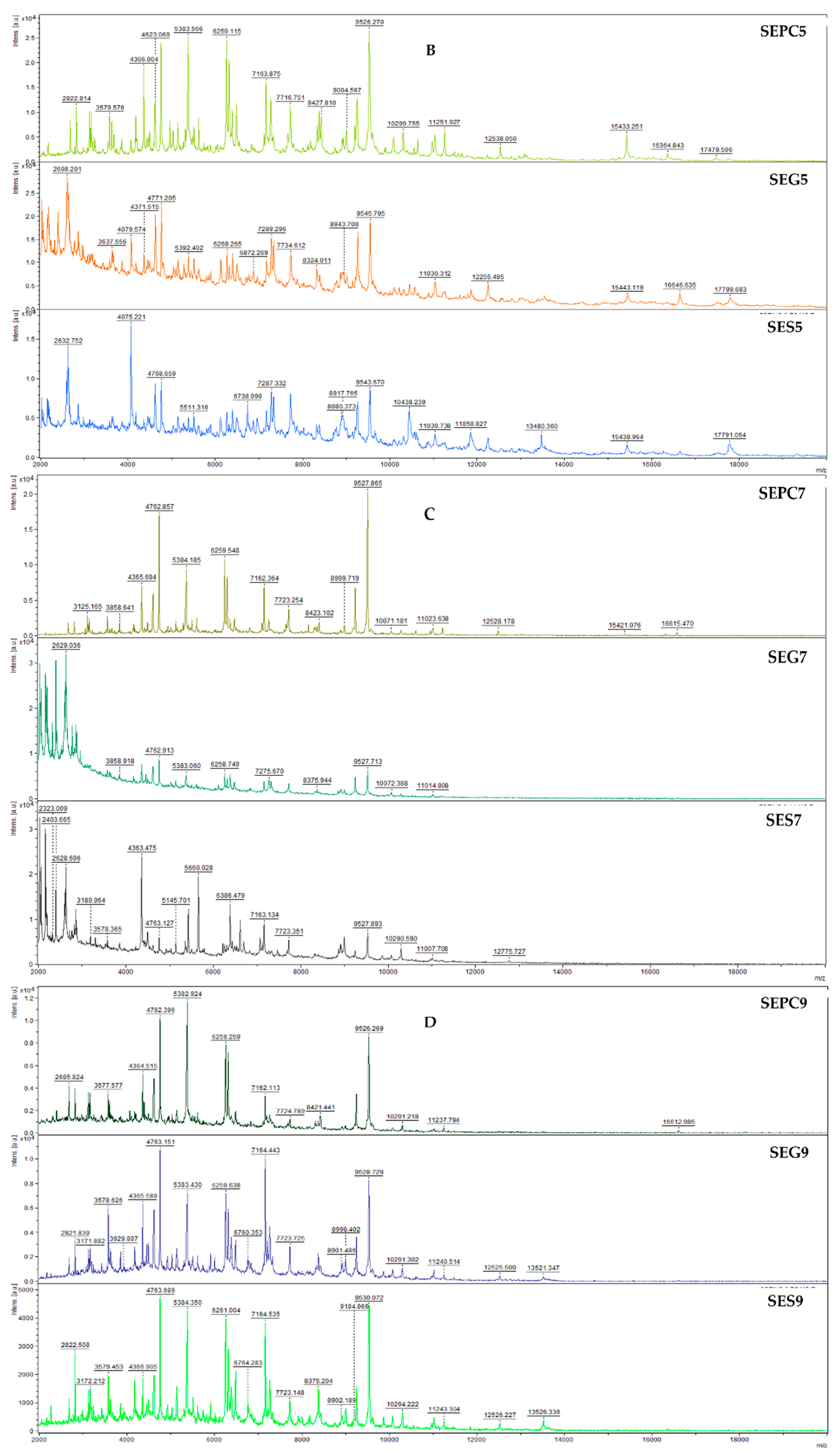 Foods 13 02512 g002b
