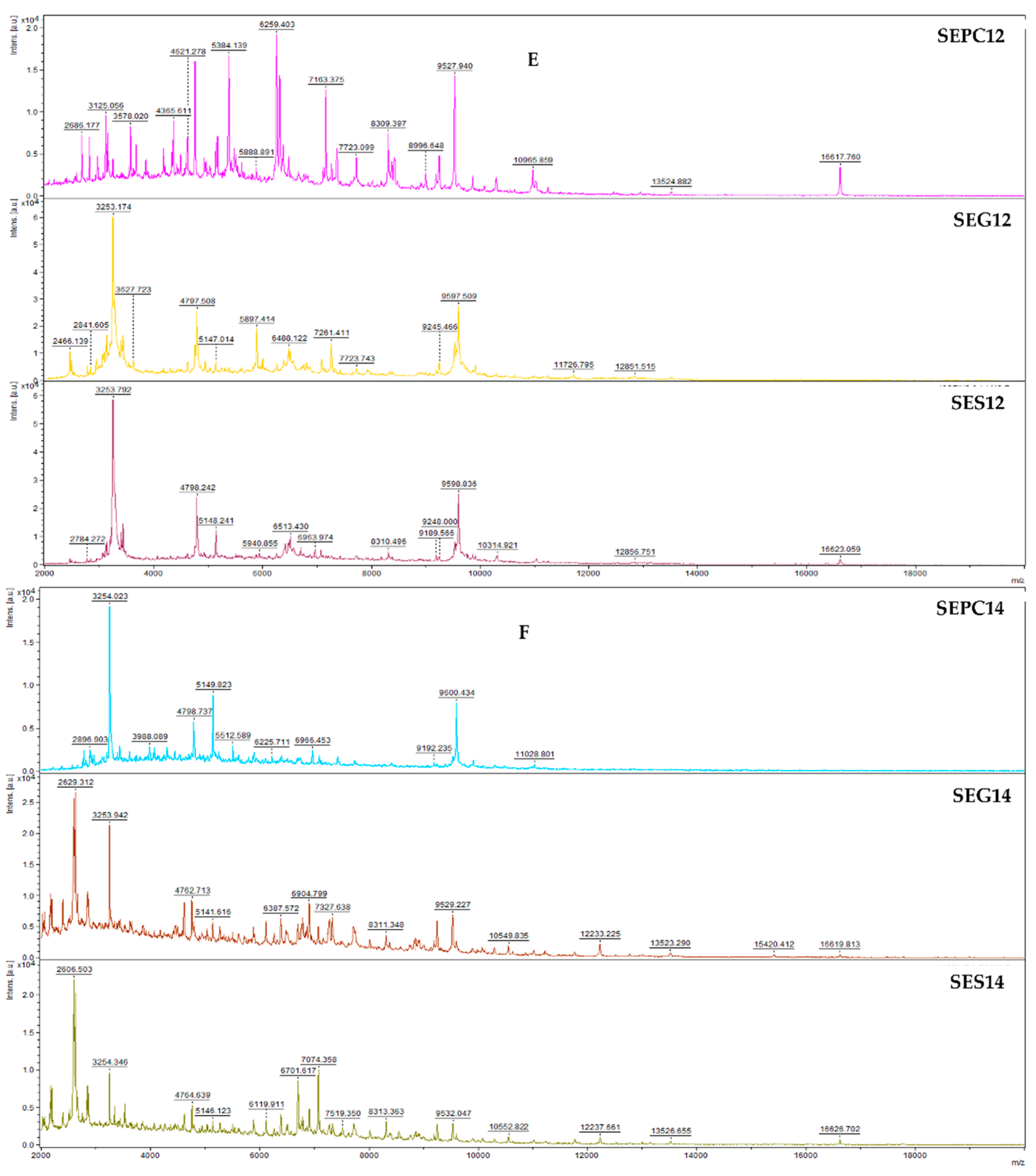Foods 13 02512 g002c