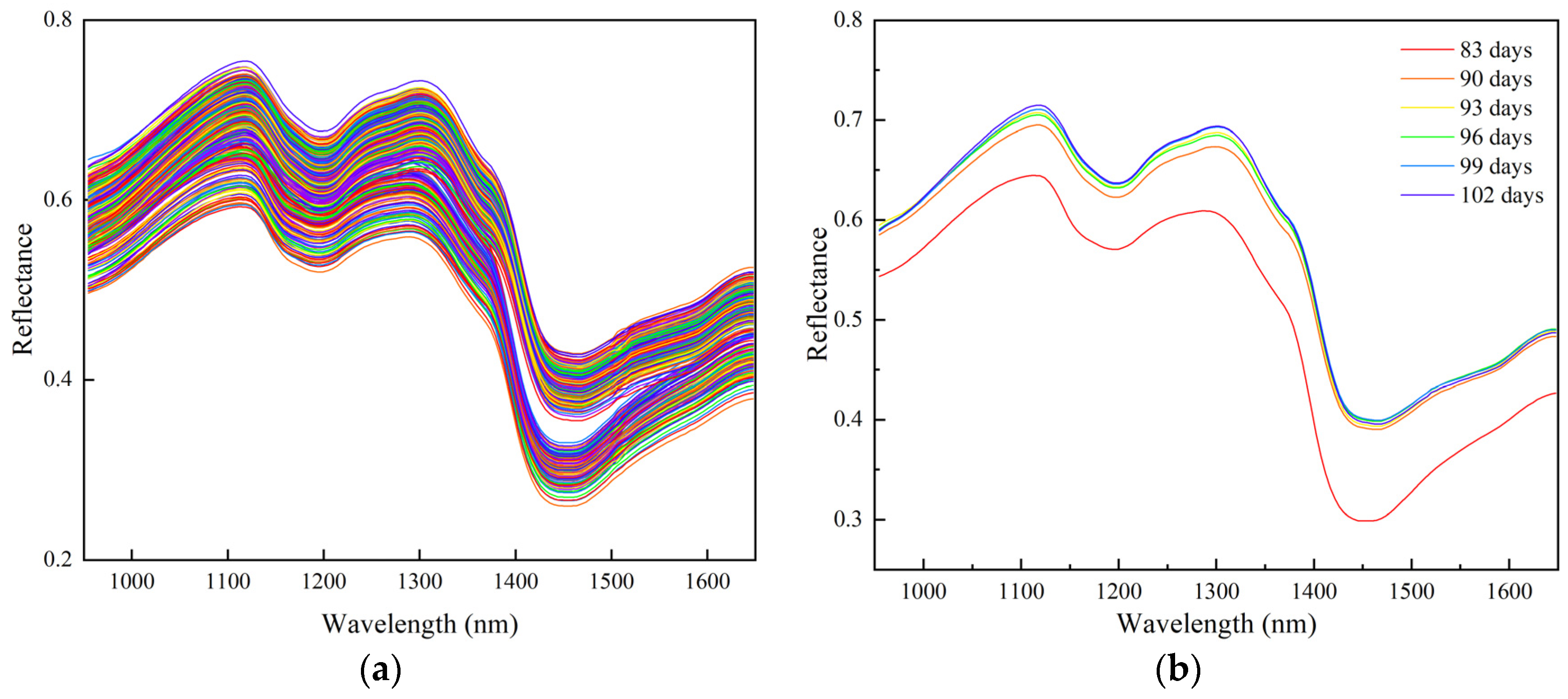 Foods 13 02576 g003 Foods 13 02576 g003