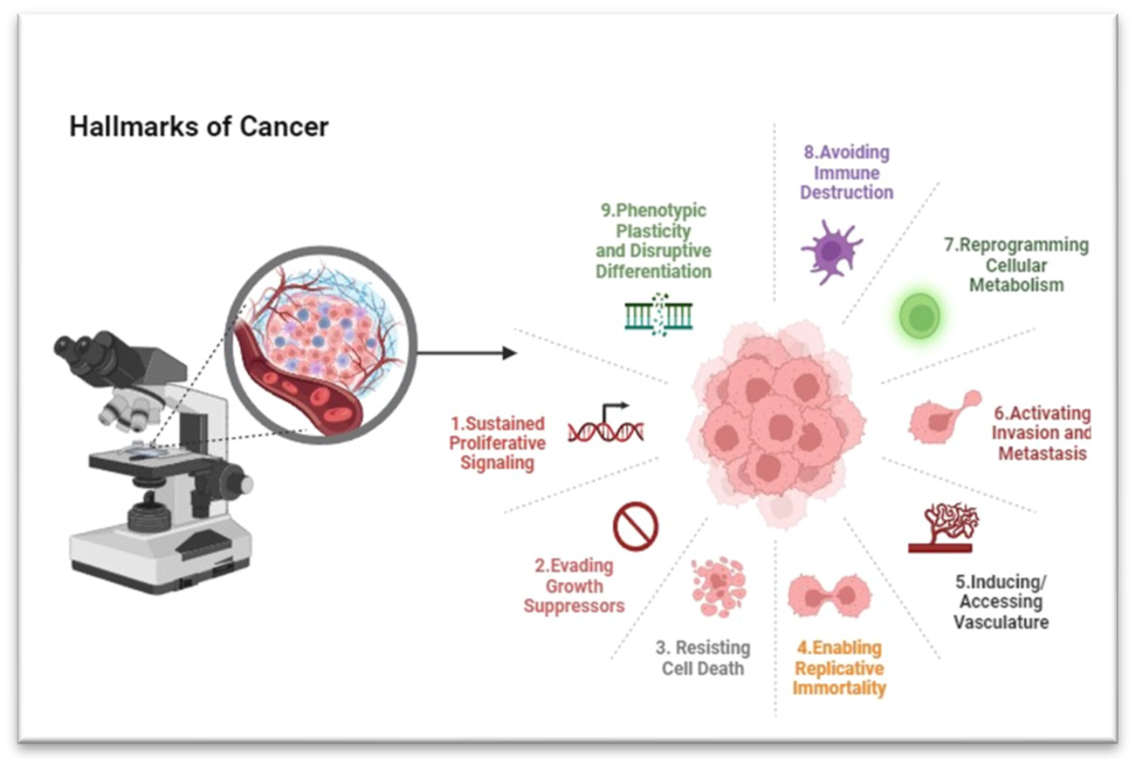 Foods 13 02687 g001 Foods 13 02687 g001