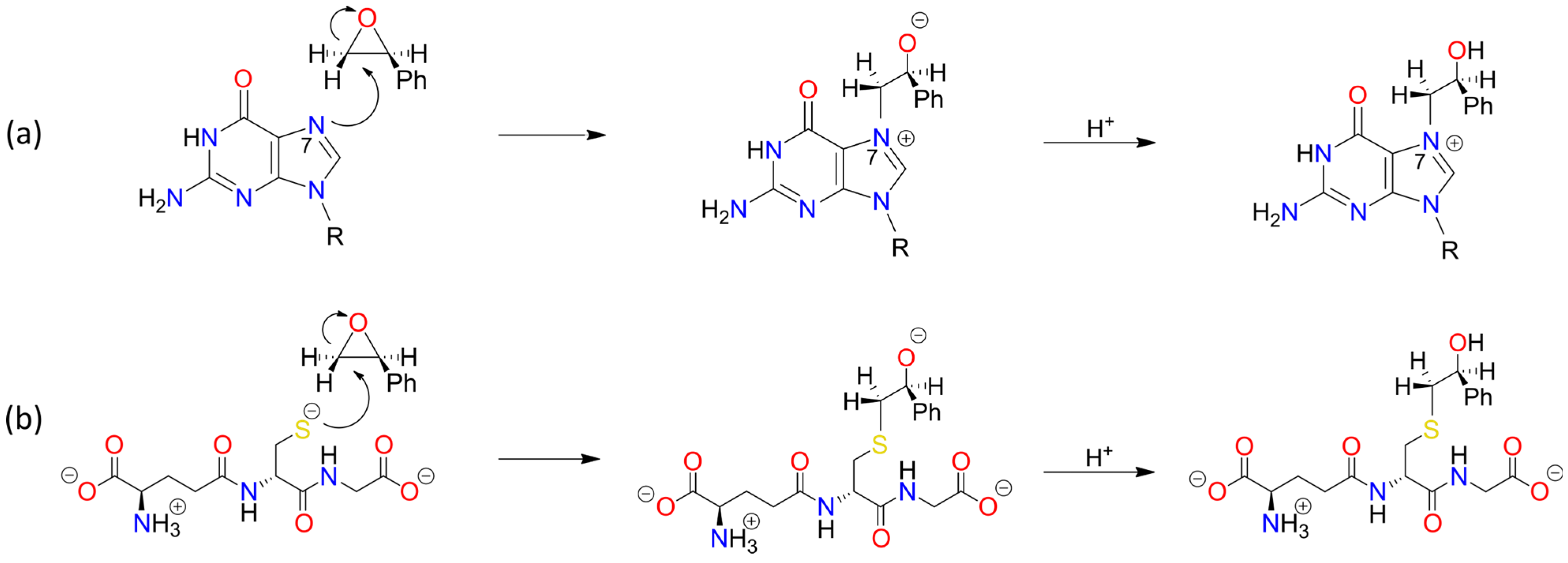 Foods 13 02708 sch0a1
