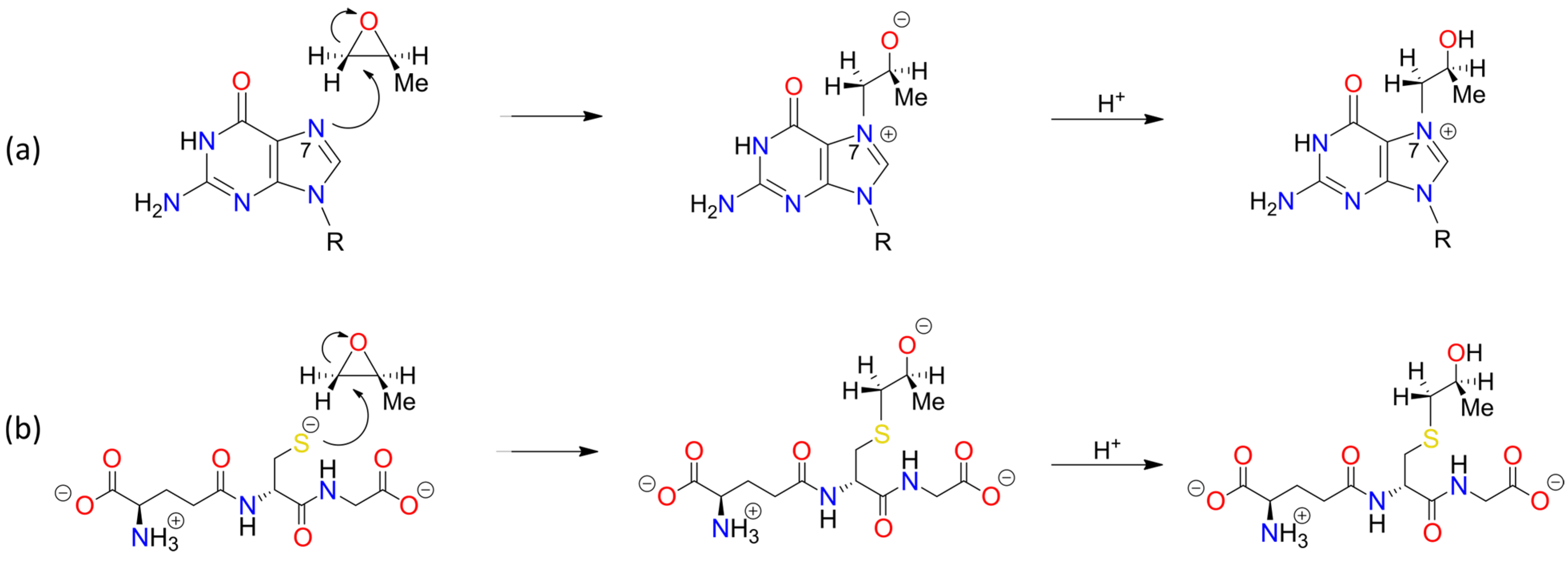 Foods 13 02708 sch0a2
